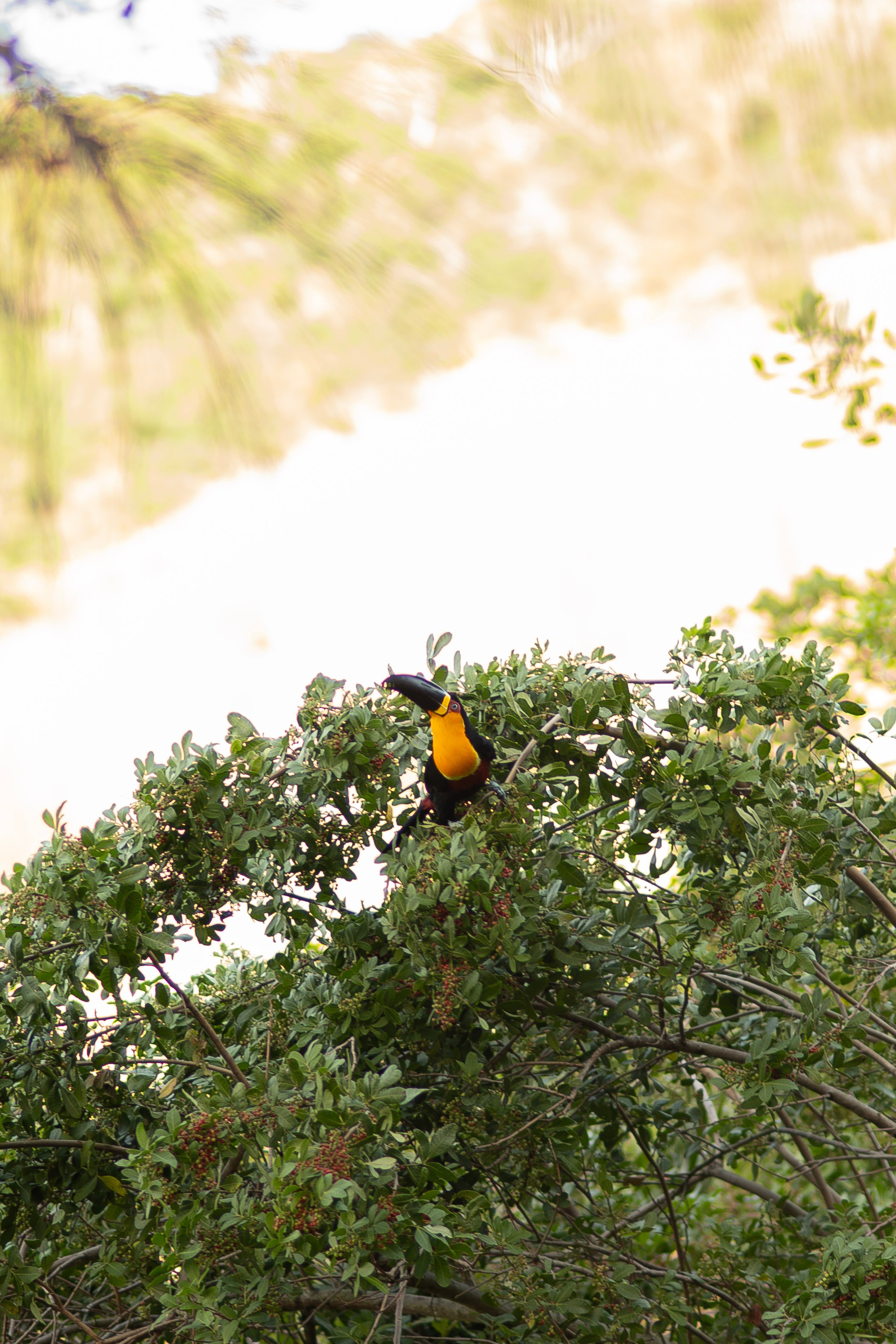 Ensaio — Gabrielle e Daniel. Larissareisfotografa