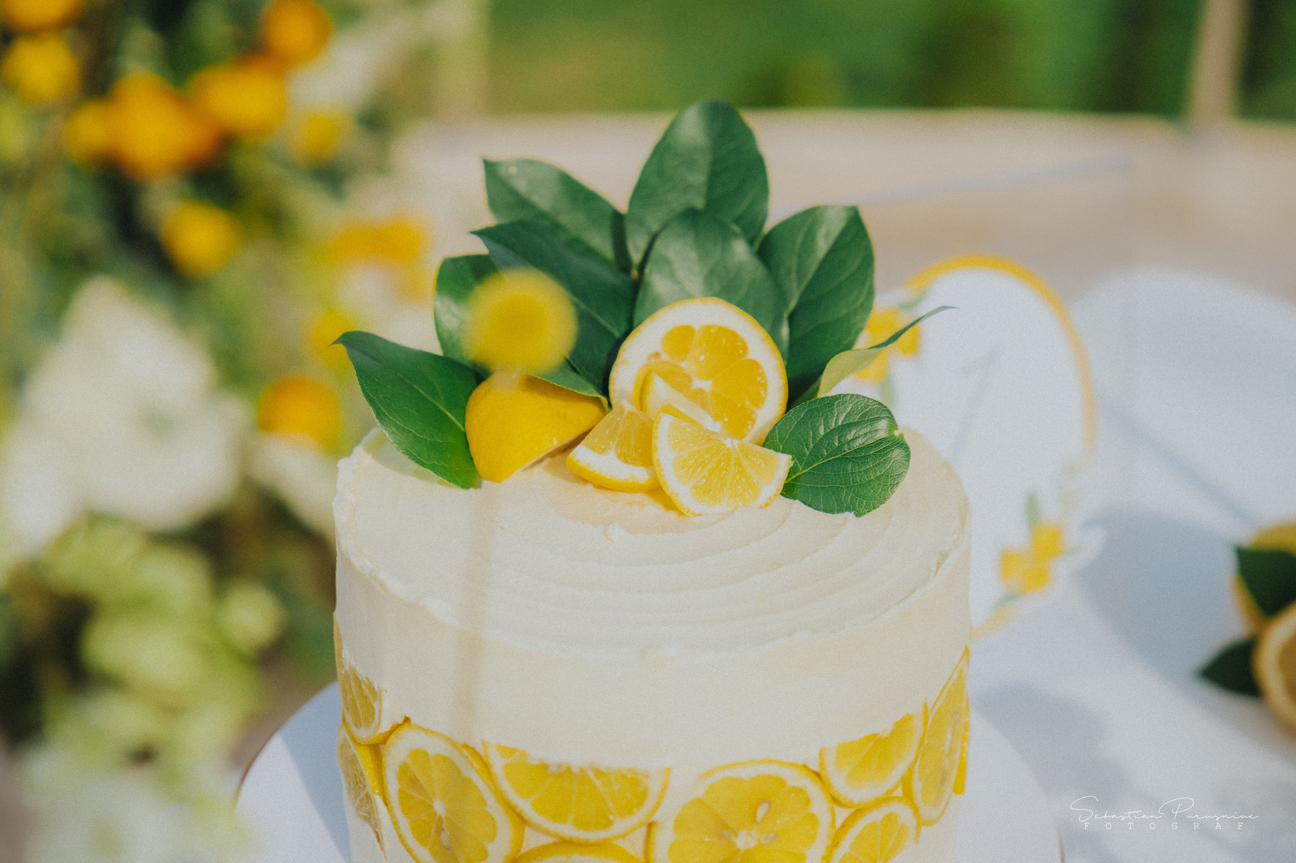 Love & Lemons. Sebastian Purusniuc Fotograf - Iasi