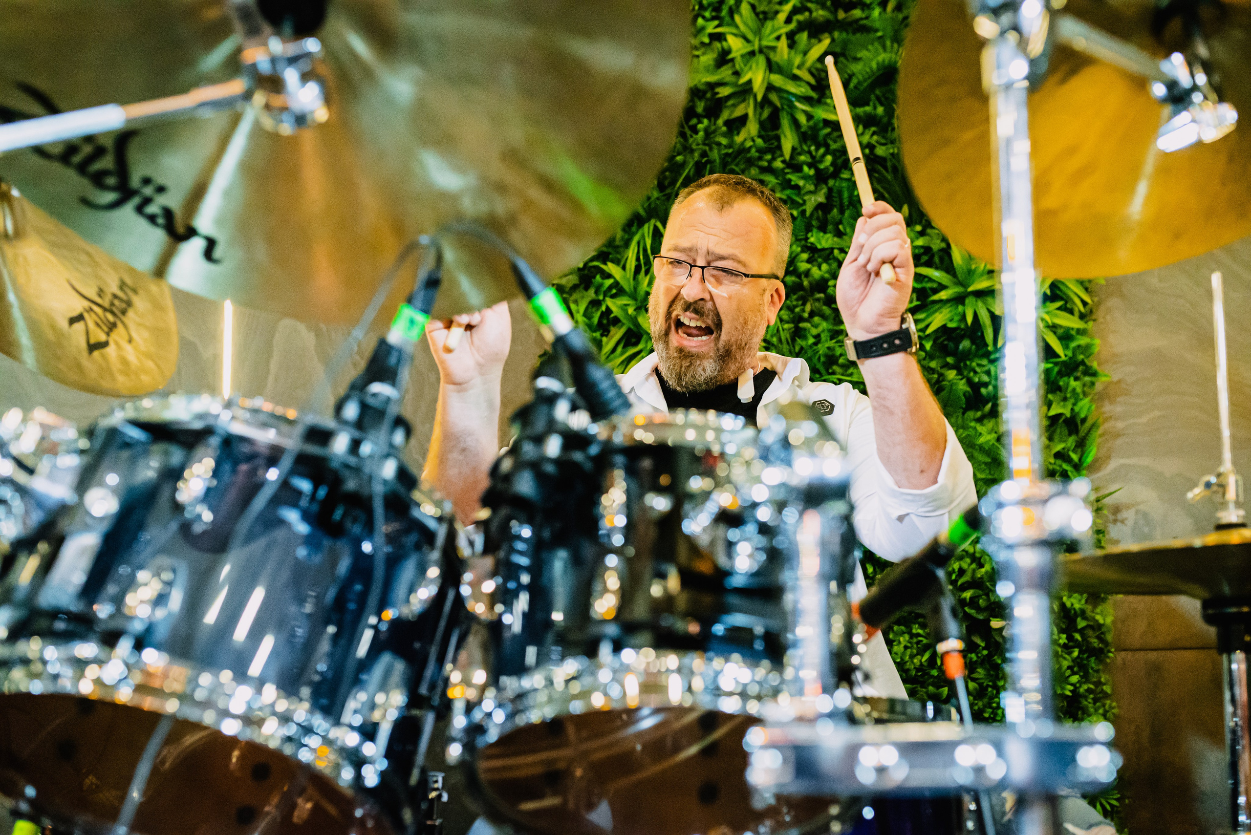 Roosters. Giani Maftei