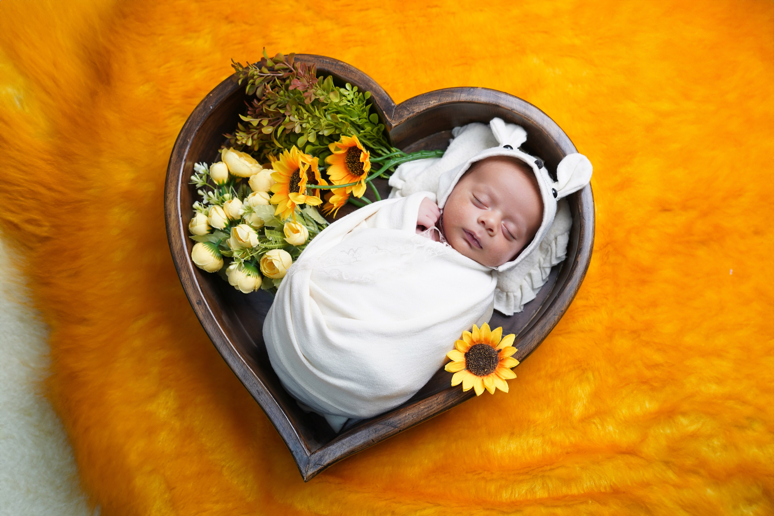 New born. TNF photo & filming