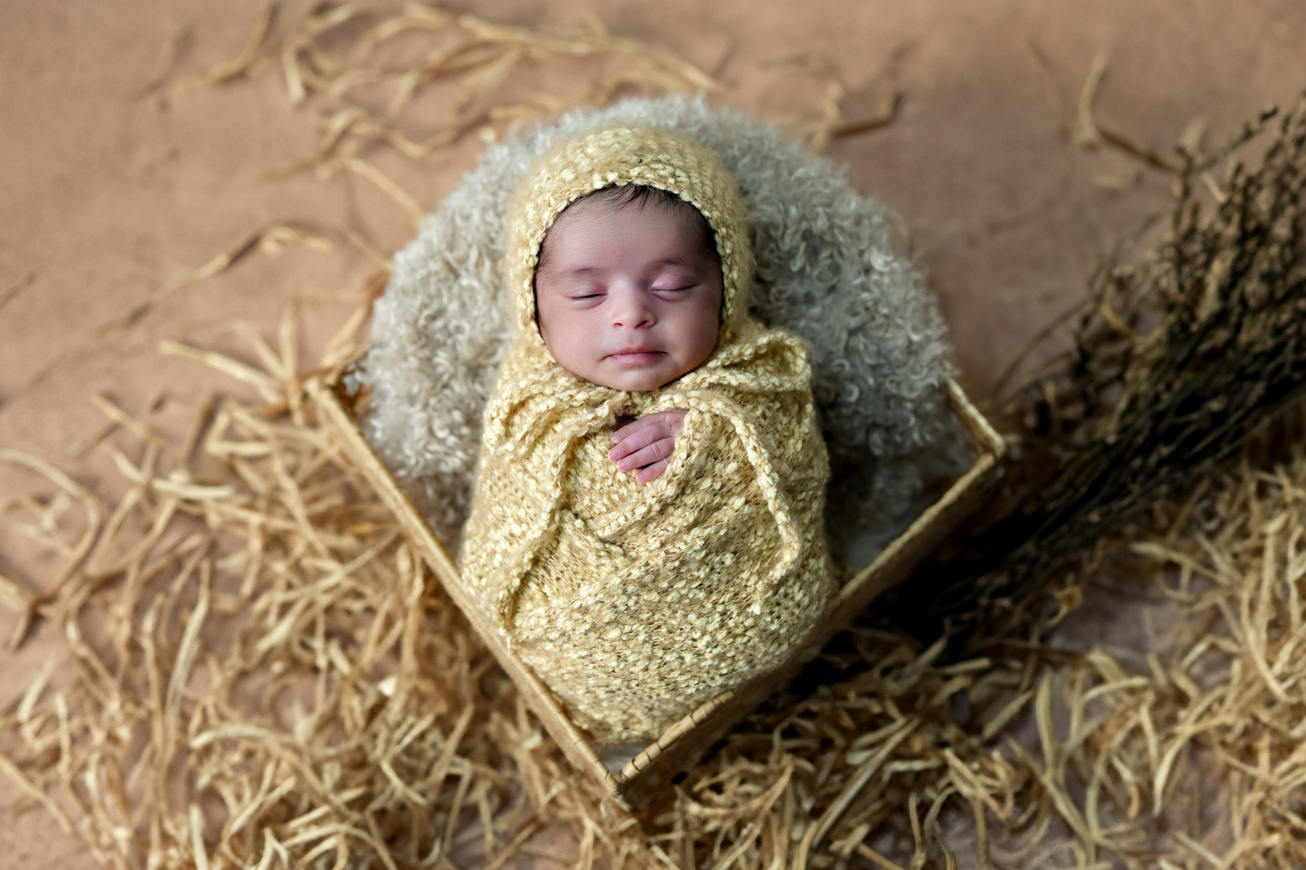 New born. TNF photo & filming