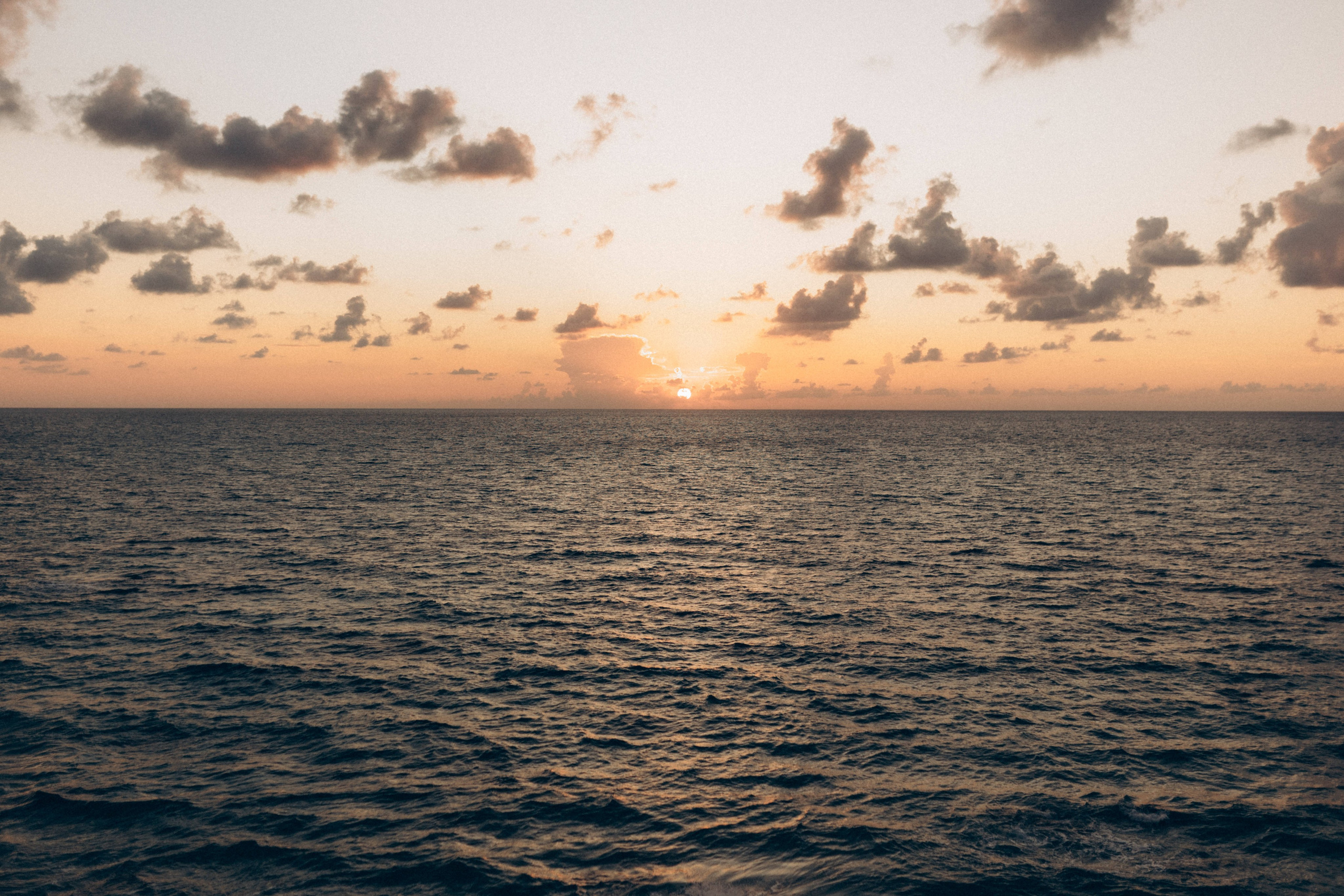 Two Souls, One Story. Https://shi-photo.com/