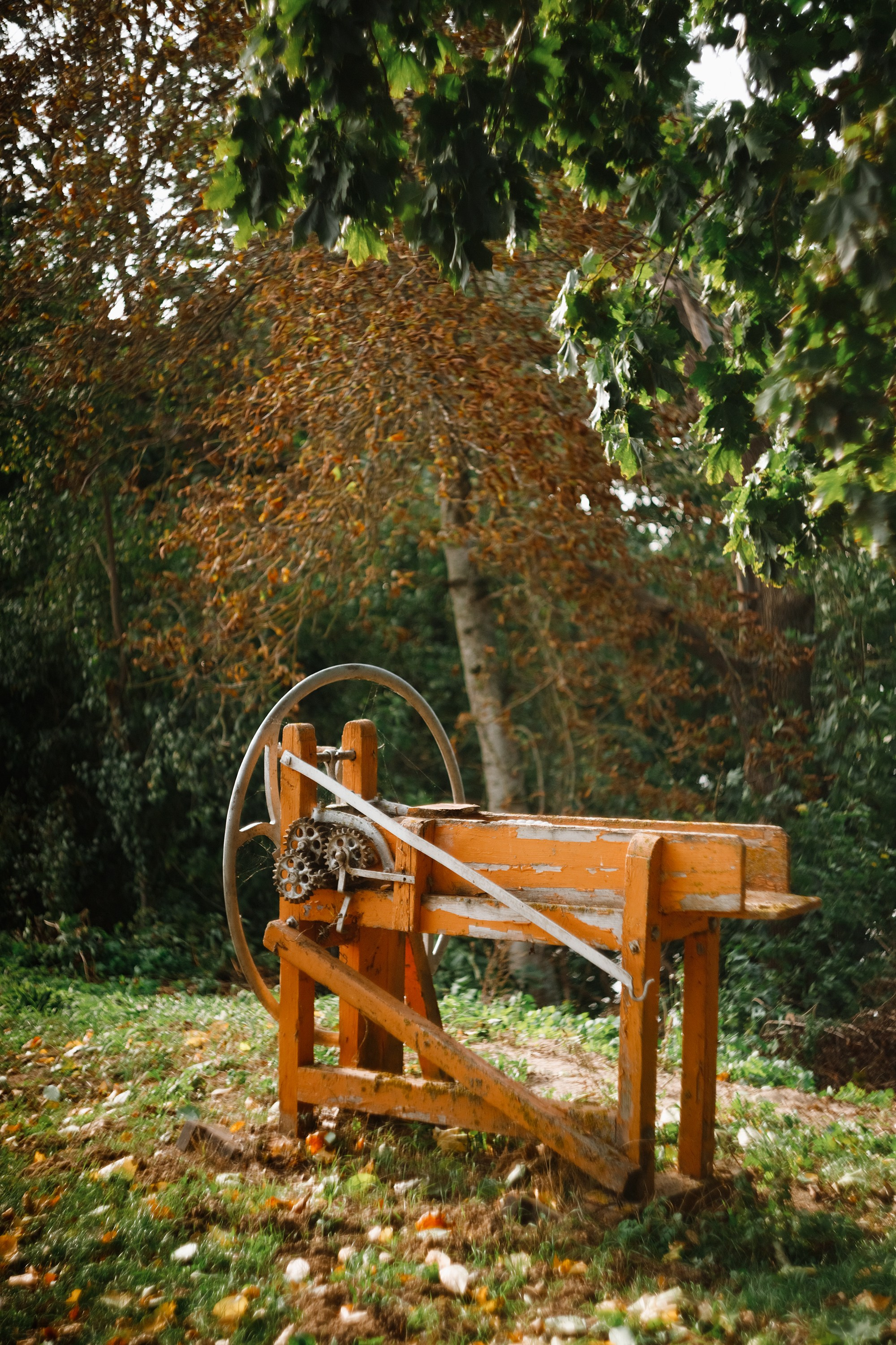 One small village in Grodno region. Kaja | fotograf we Wrocławiu | ludzie i psy