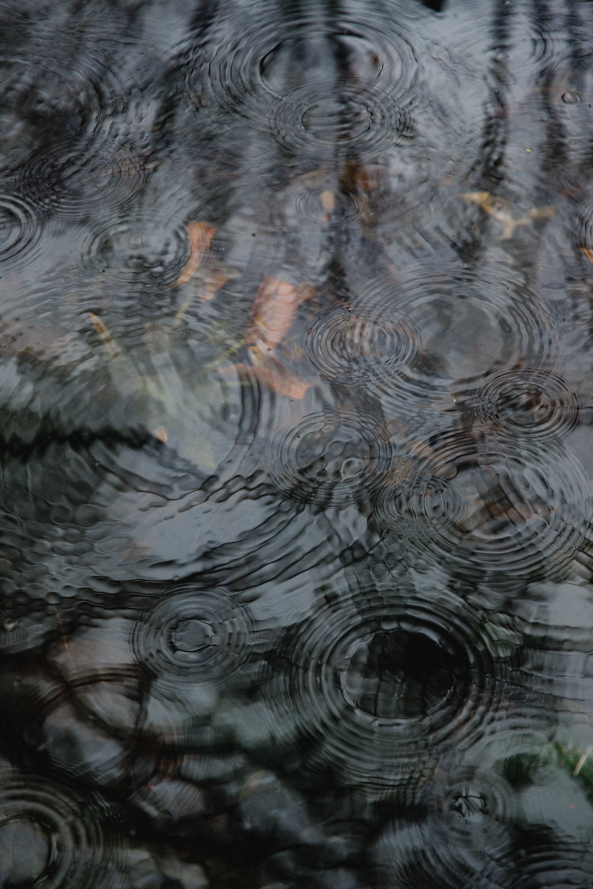 Botanical garden in Wroclaw. Kaja | fotograf we Wrocławiu | ludzie i psy