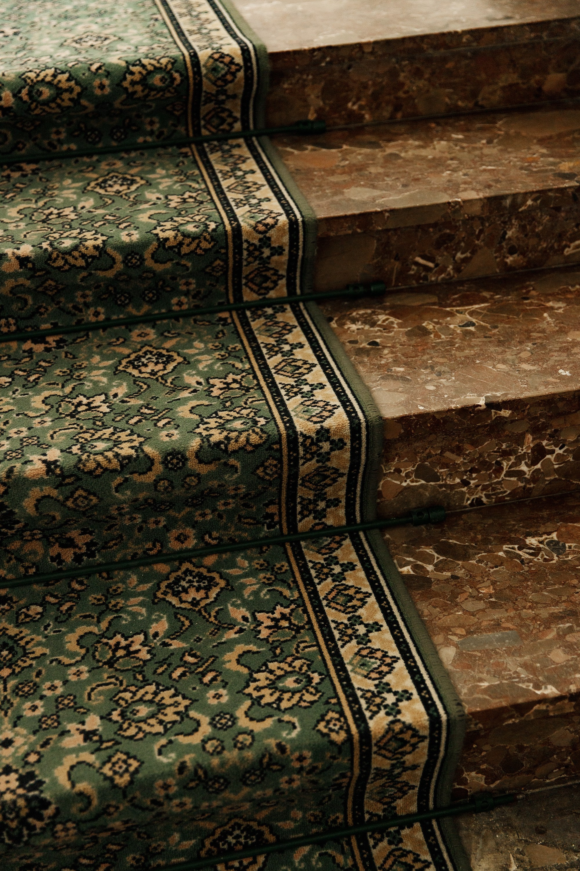 Oleśnica castle. Kaja | fotograf psów we Wrocławiu