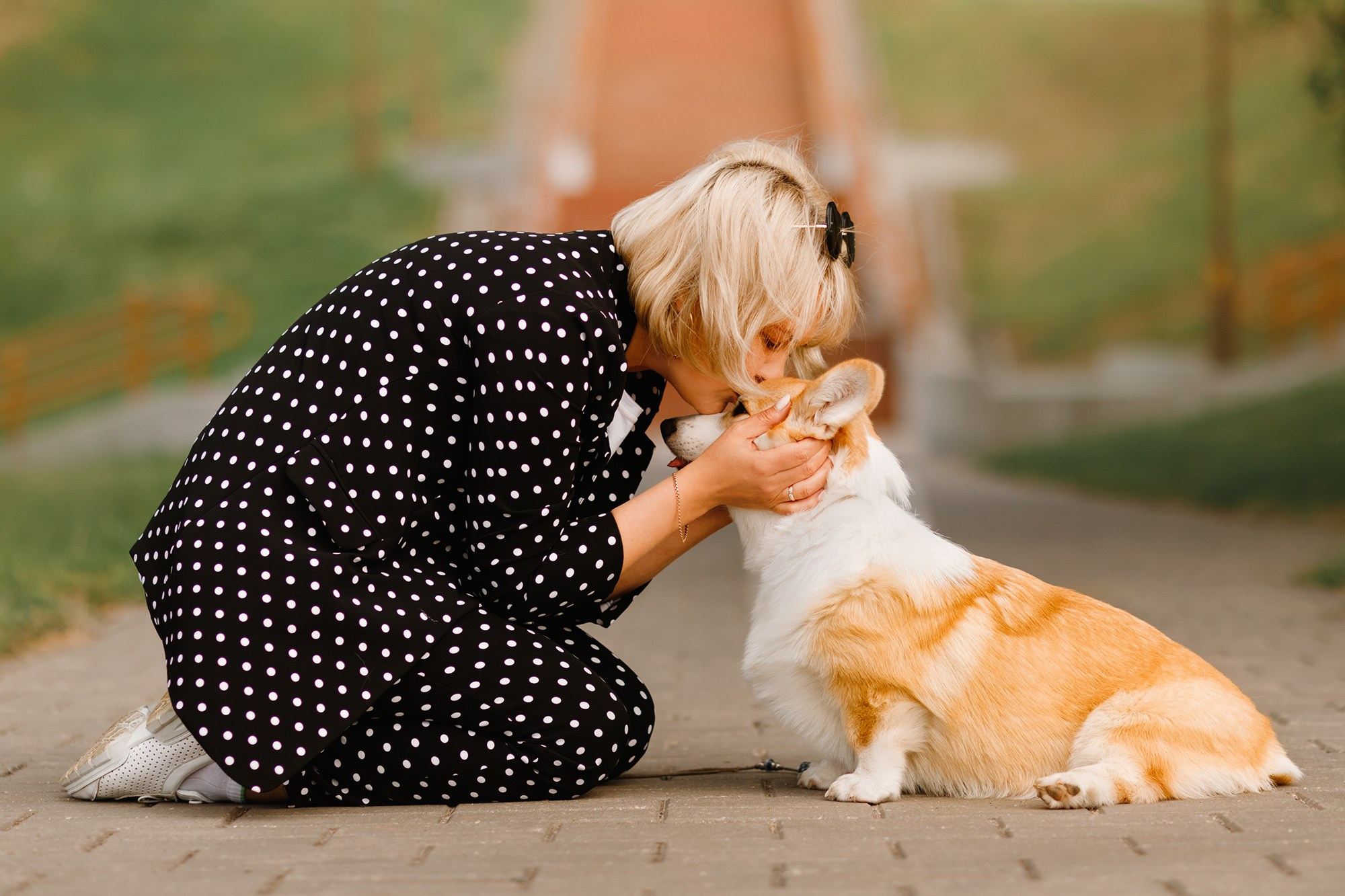Summer photo day for dog handler. Kaja | fotograf we Wrocławiu | ludzie i psy