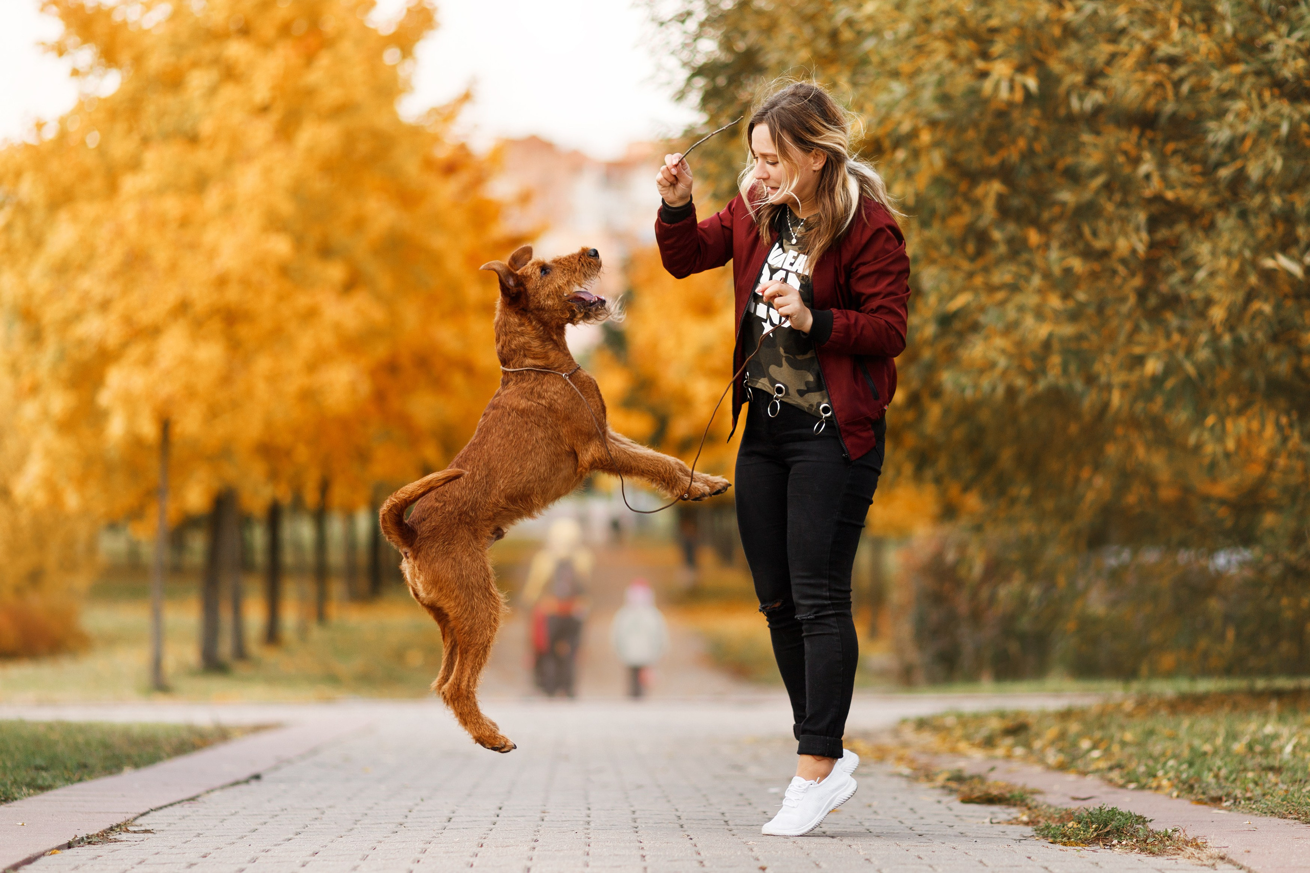 Autumn photo day for dog handler. Kaja | fotograf we Wrocławiu | ludzie i psy