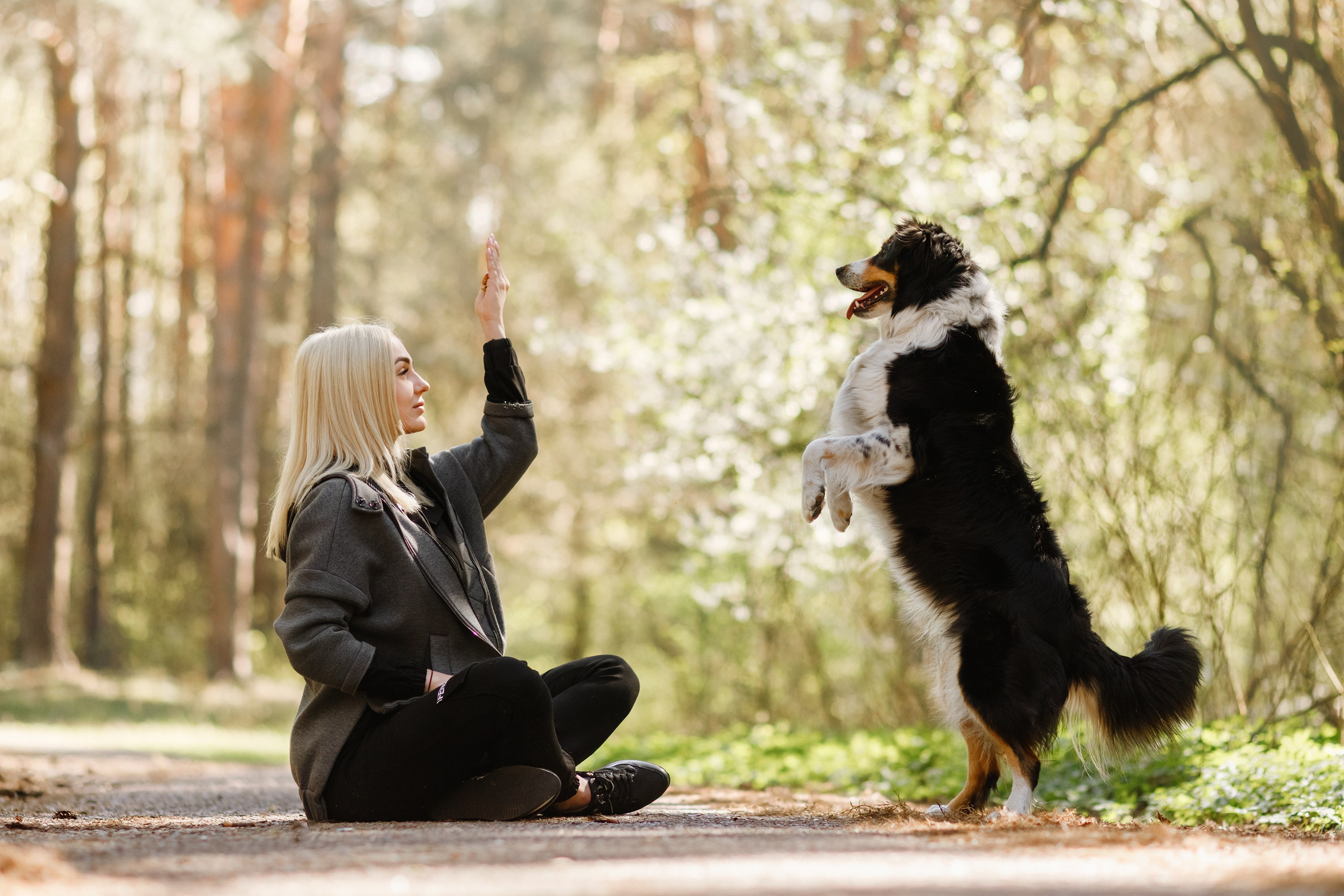 Dog trainer blog content. Kaja | fotograf we Wrocławiu | ludzie i psy