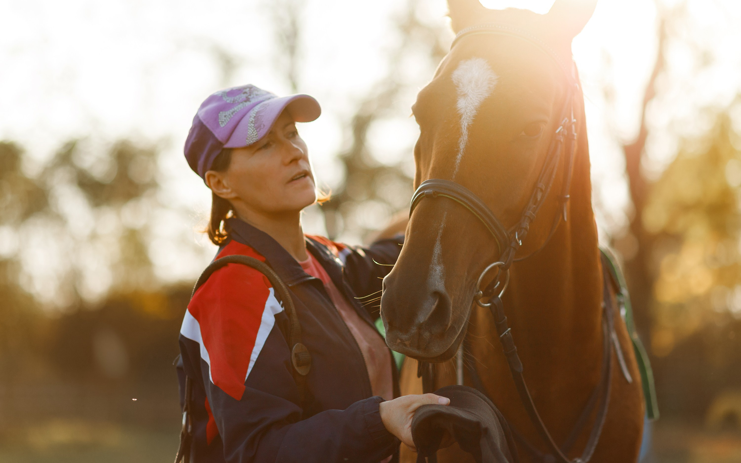 Autumn equestrian training. Kaja | fotograf psów we Wrocławiu