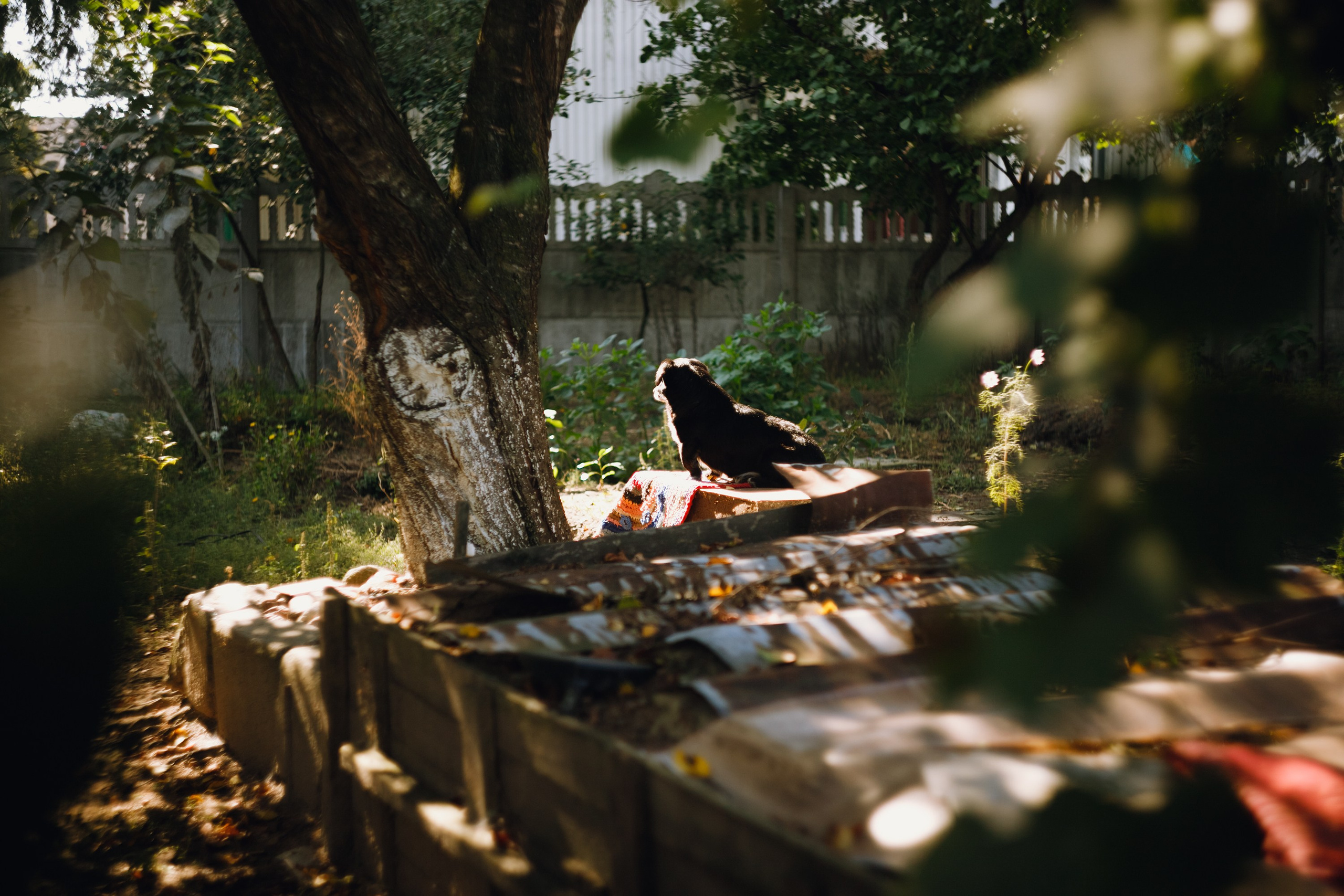 Grandmother's home in Brest. Kaja | fotograf we Wrocławiu | ludzie i psy