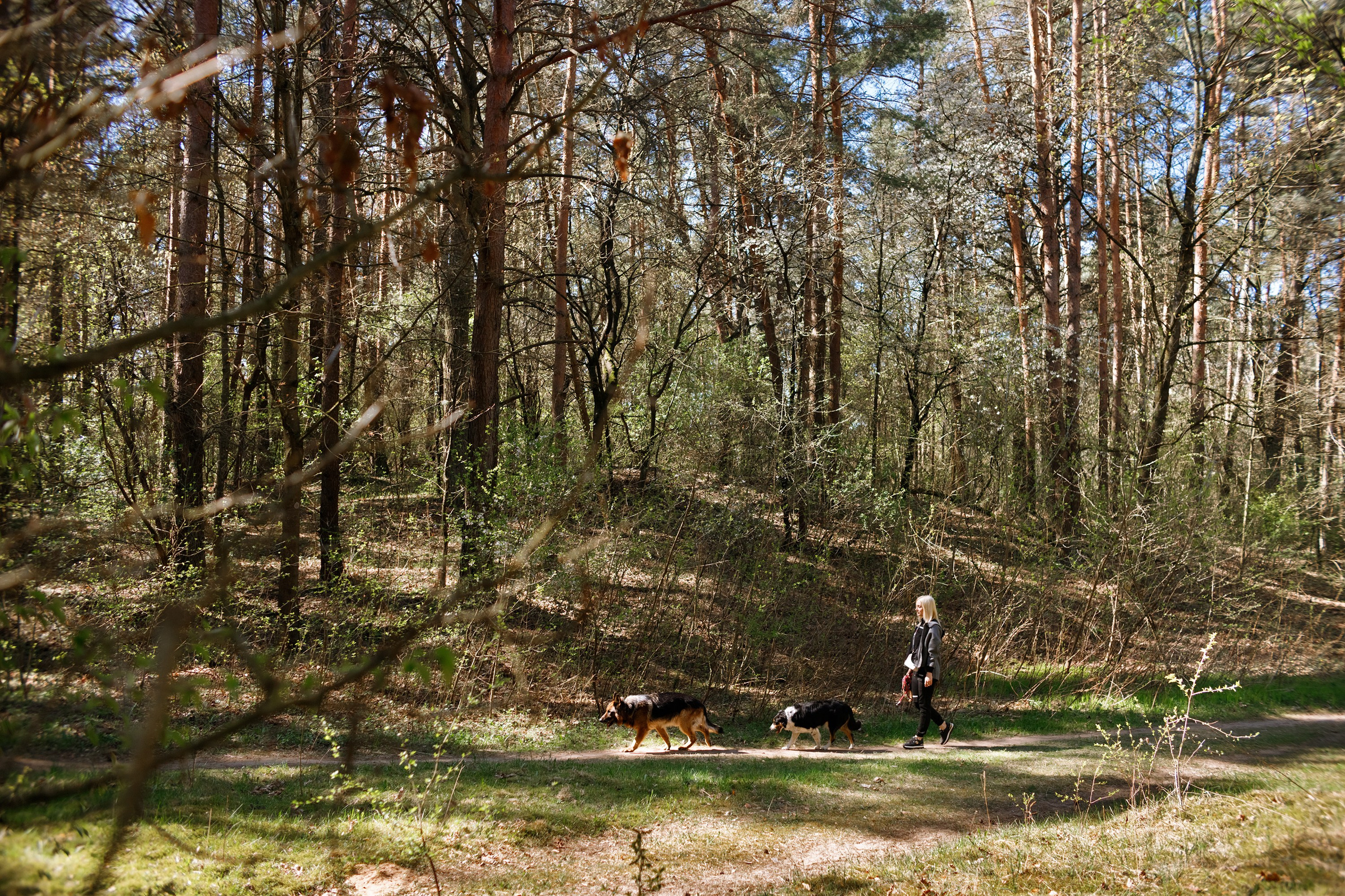 Dog trainer blog content. Kaja | fotograf we Wrocławiu | ludzie i psy