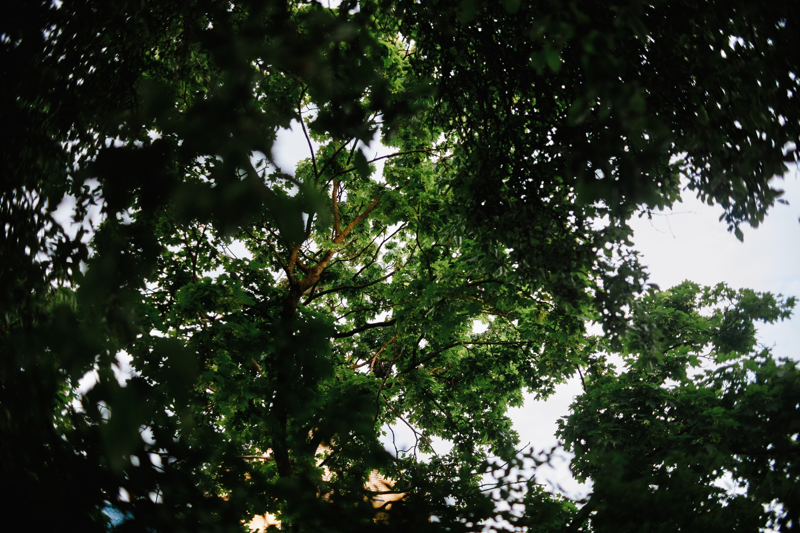 Grodno. Kaja | fotograf we Wrocławiu | ludzie i psy