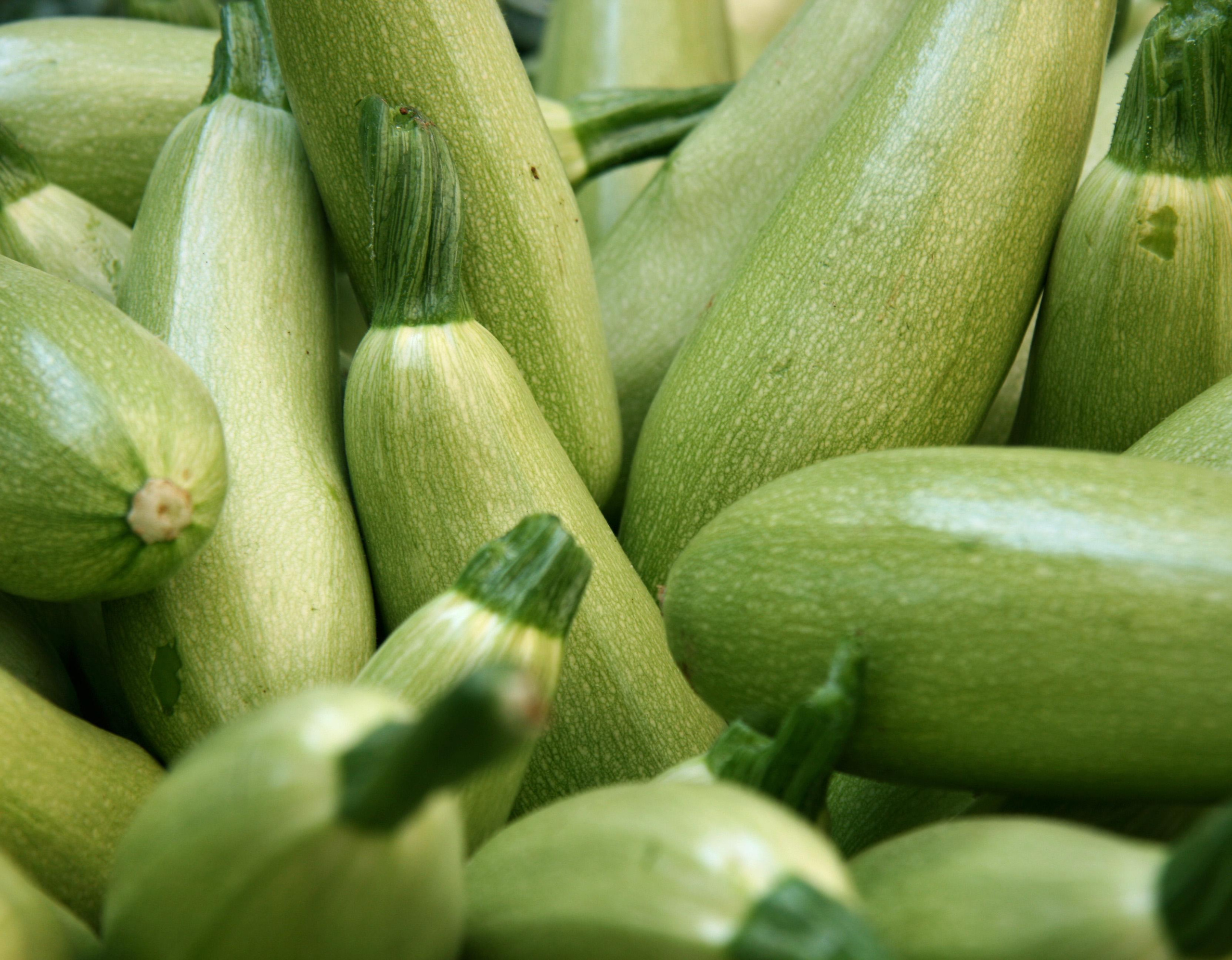 NATURE MORTE et VIVANTE. Natalia Bogdanovska. Films et photographie corporate en France