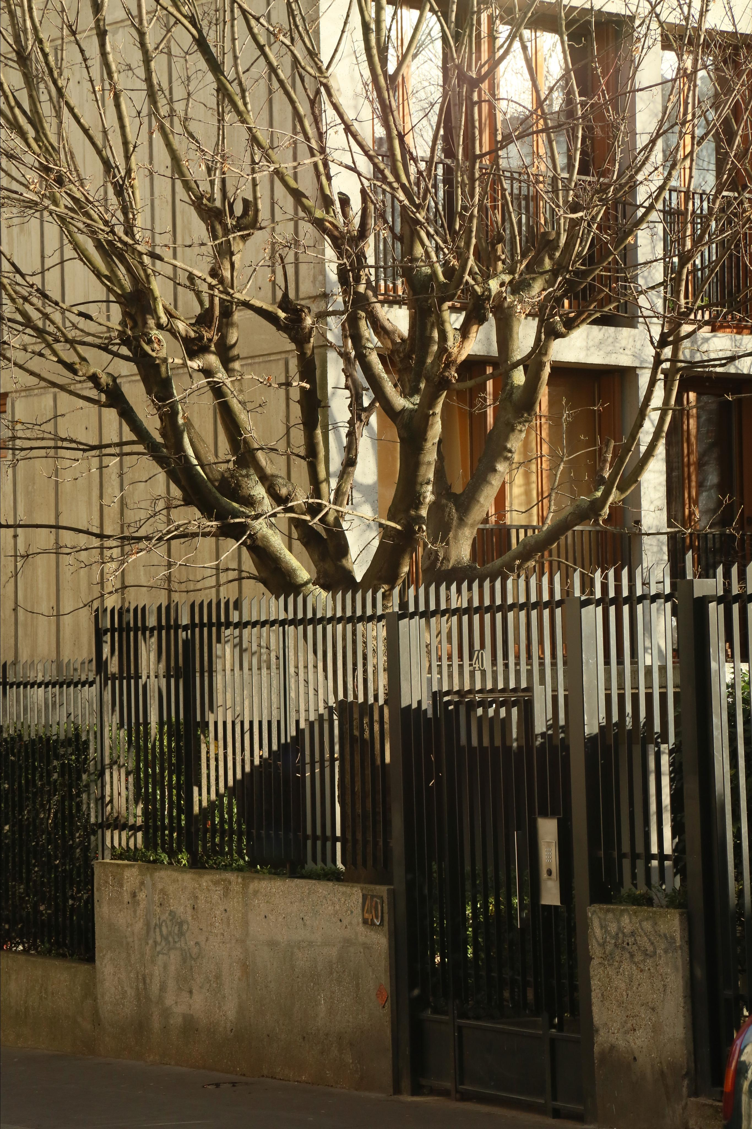 NATURE MORTE et VIVANTE. Natalia Bogdanovska. Films et photographie corporate en France