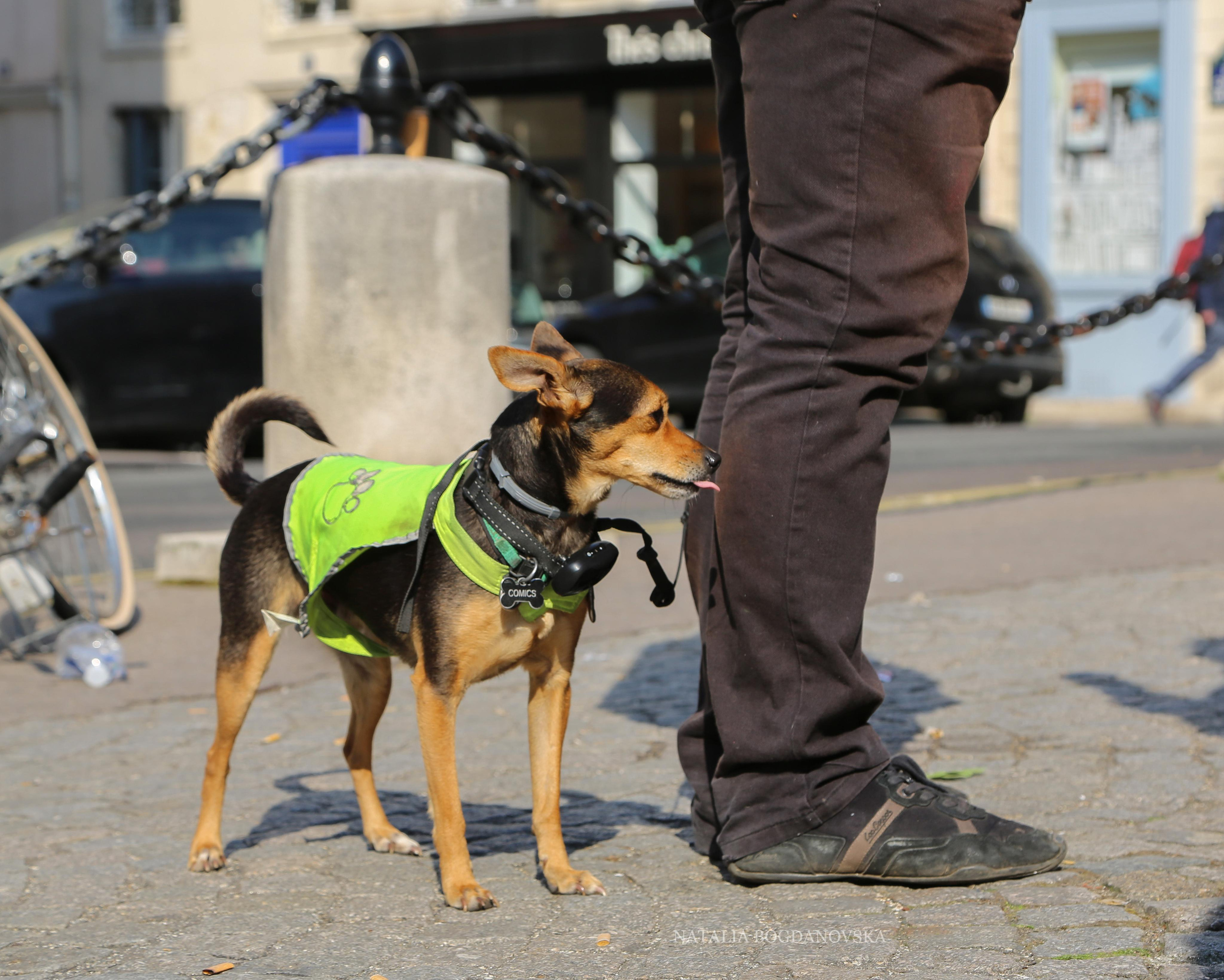 17/04/2021. Natalia Bogdanovska. Films et photographie corporate en France