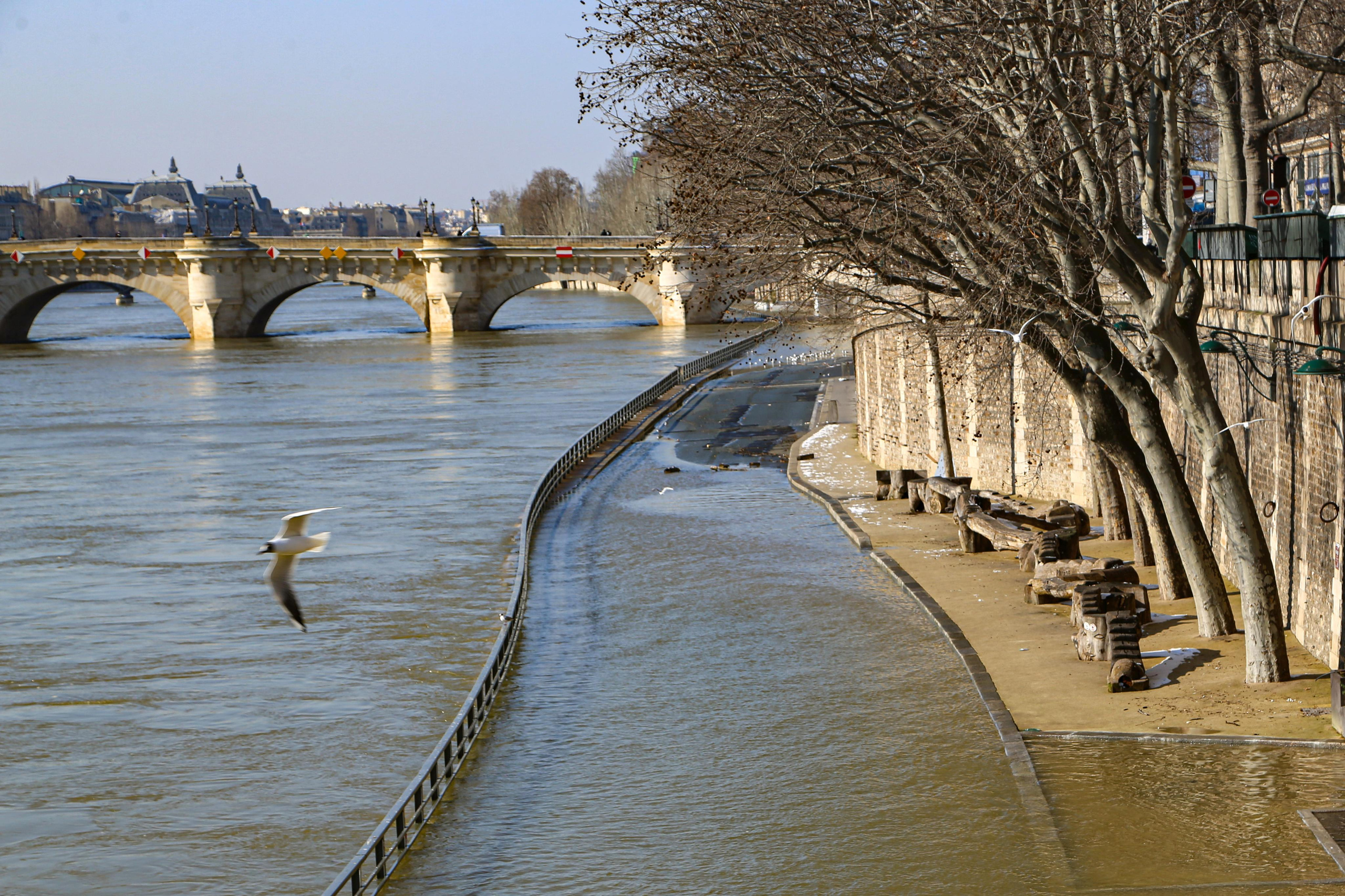 Paris. Natalia Bogdanovska. Films et photographie corporate en France