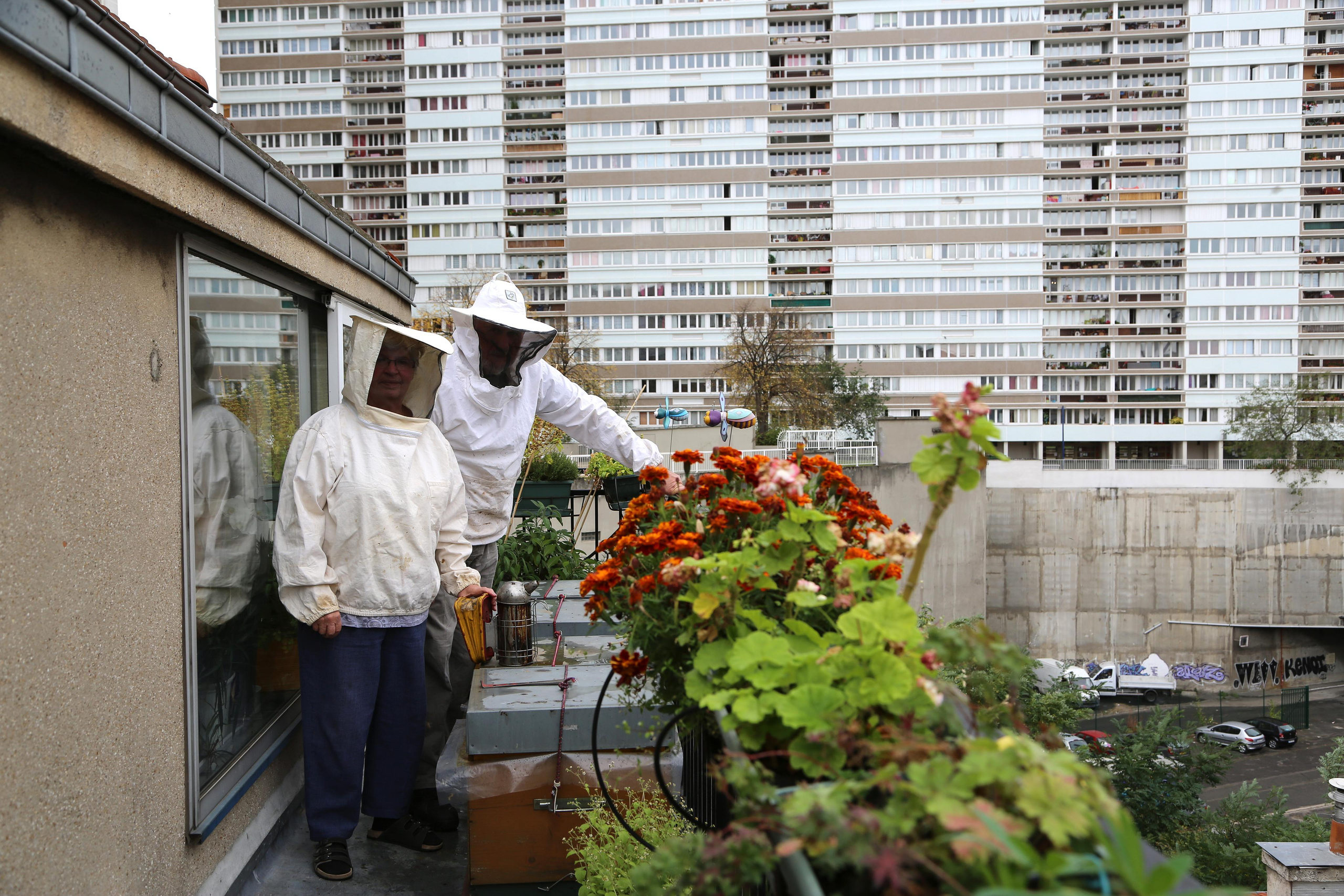 Les abeilles de Paris 