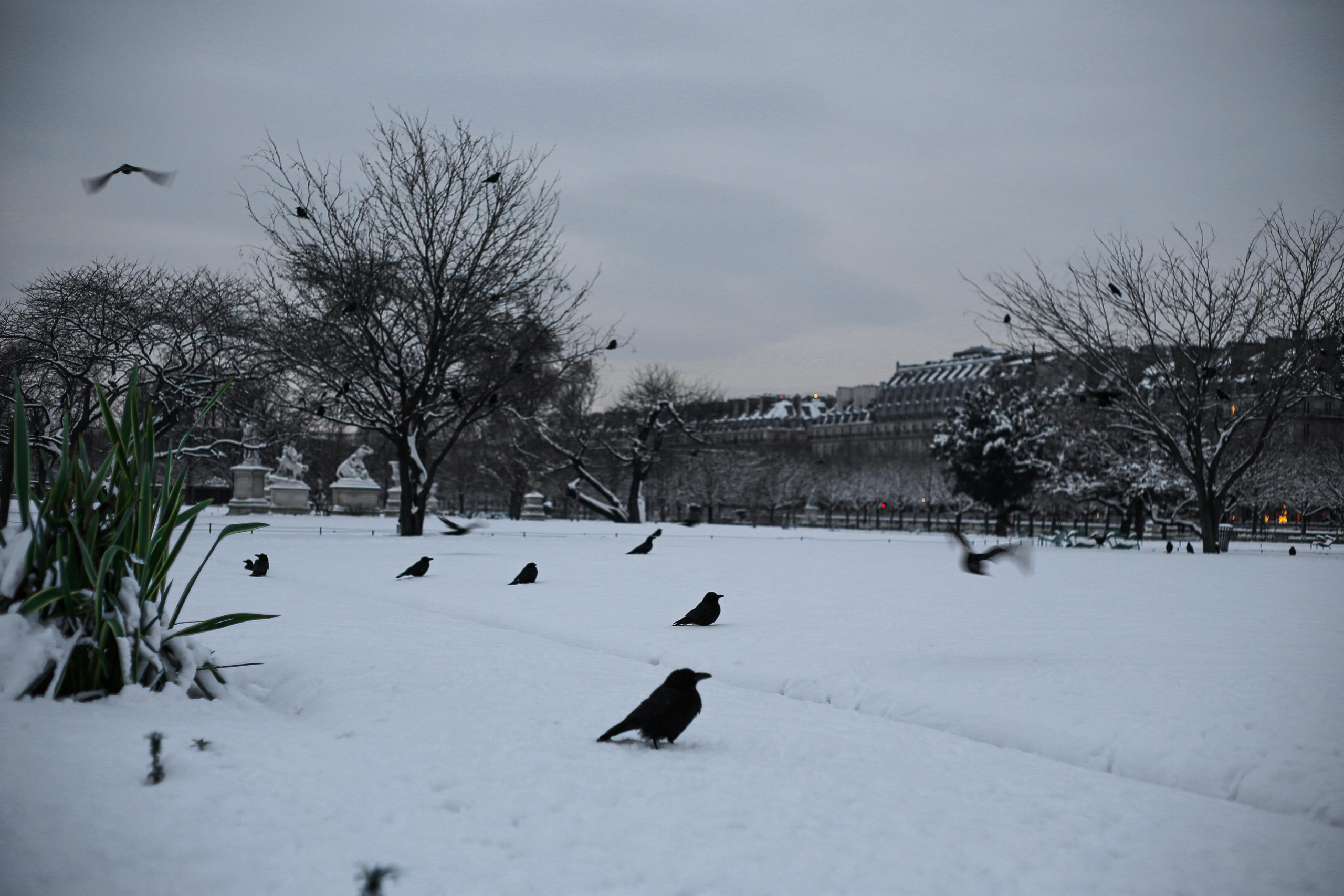 Paris. Natalia Bogdanovska. Films et photographie corporate en France