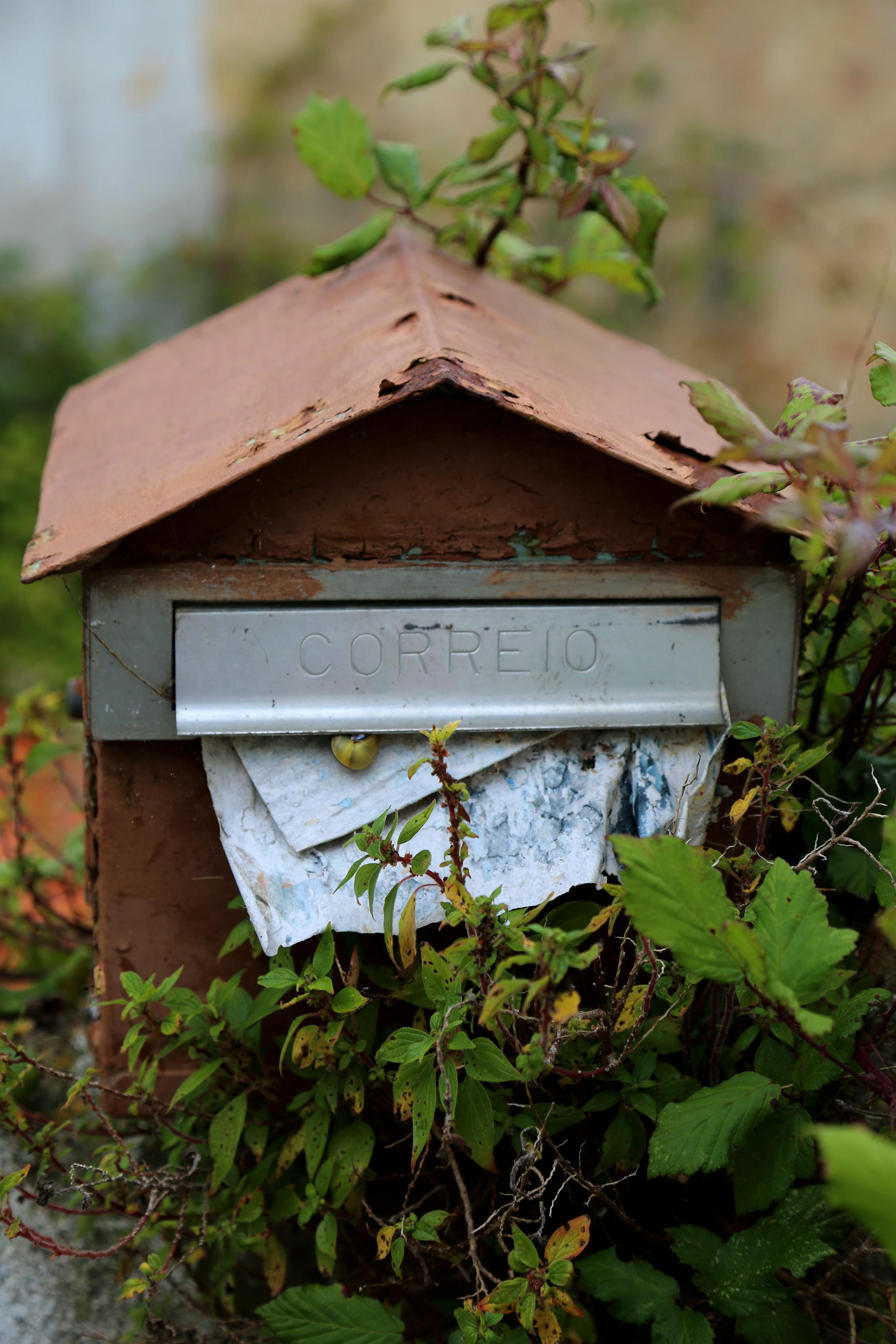 NATURE MORTE et VIVANTE. Natalia Bogdanovska. Films et photographie corporate en France