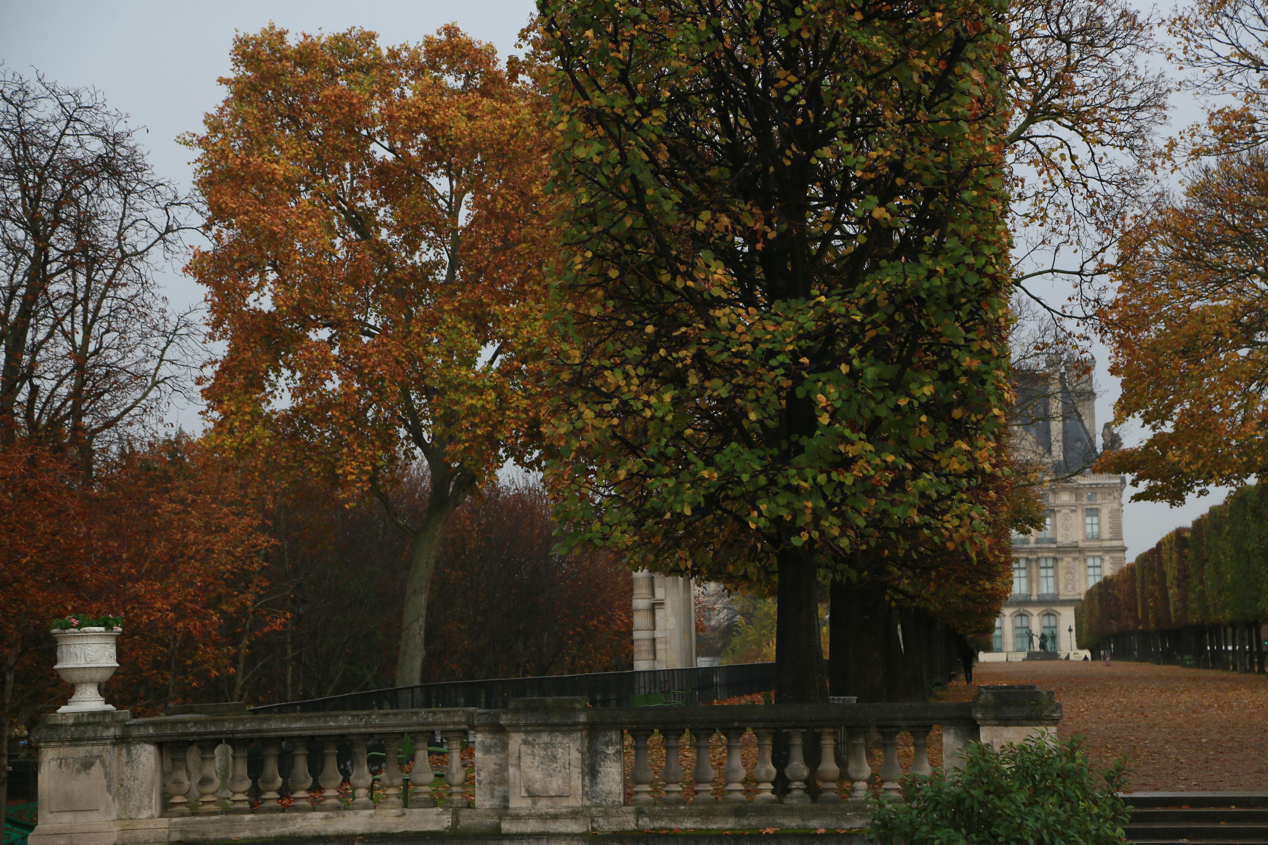 Paris. Natalia Bogdanovska. Films et photographie corporate en France
