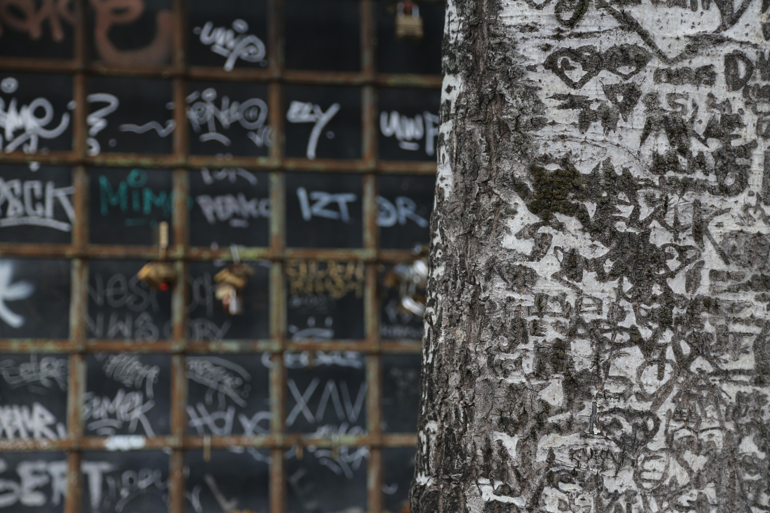 NATURE MORTE et VIVANTE. Natalia Bogdanovska. Films et photographie corporate en France