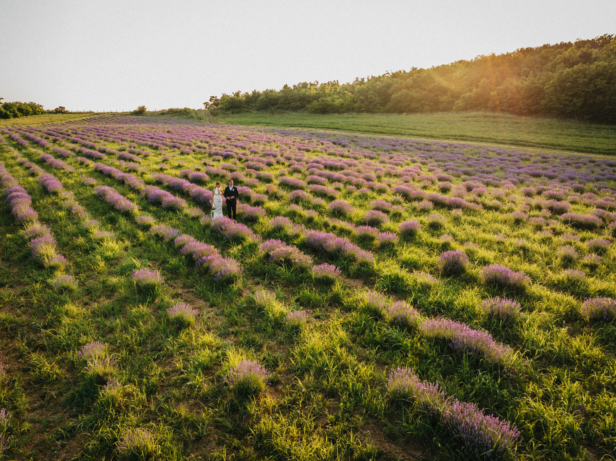 Wedding photography. Wedding photography