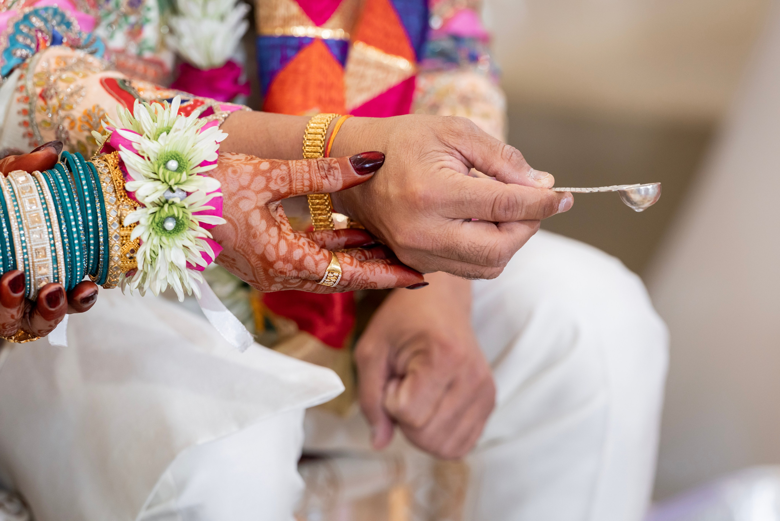 Purva and Vivek. Irina Ermak wedding photographer in New York