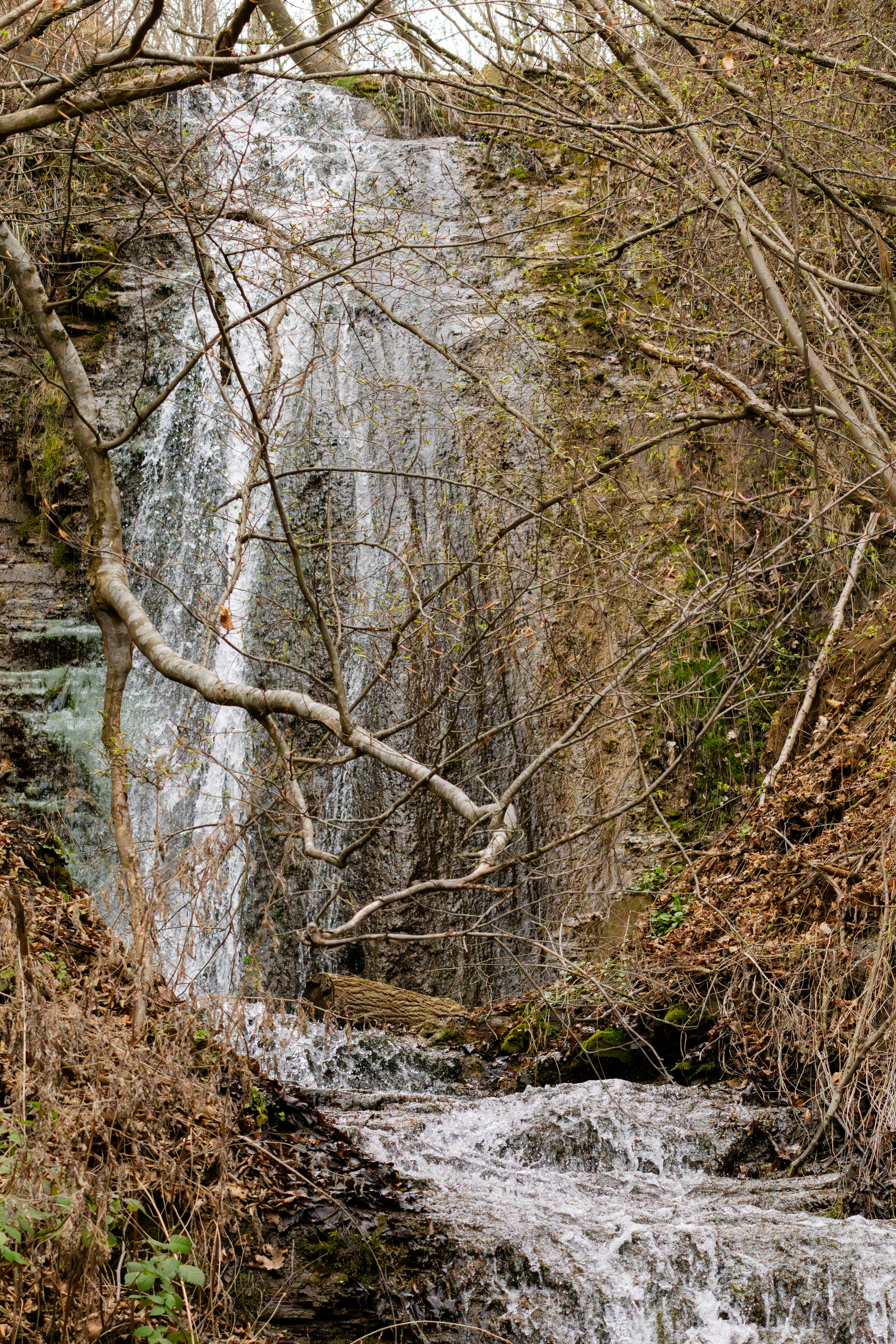 საგაზაფხულო გასეირნება წავკისისწყალის ხეობაში. FramefreeMan