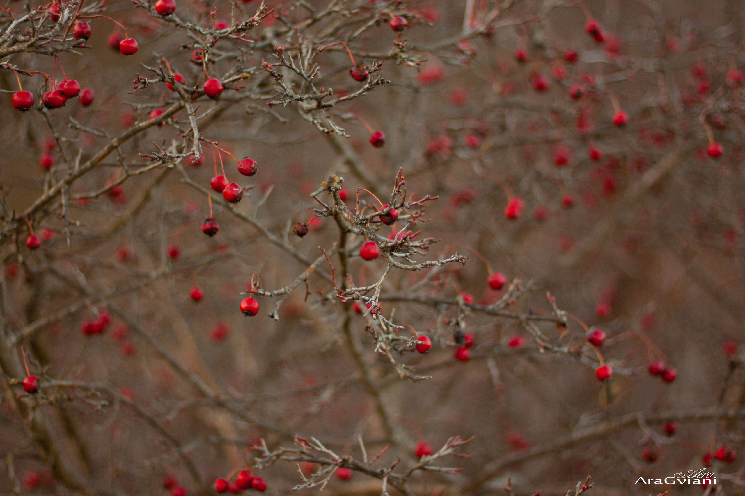 კავშირი. FramefreeMan