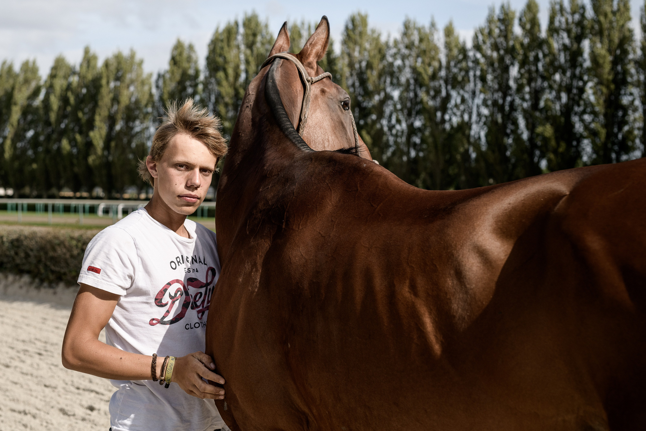 Photo shoot with horses