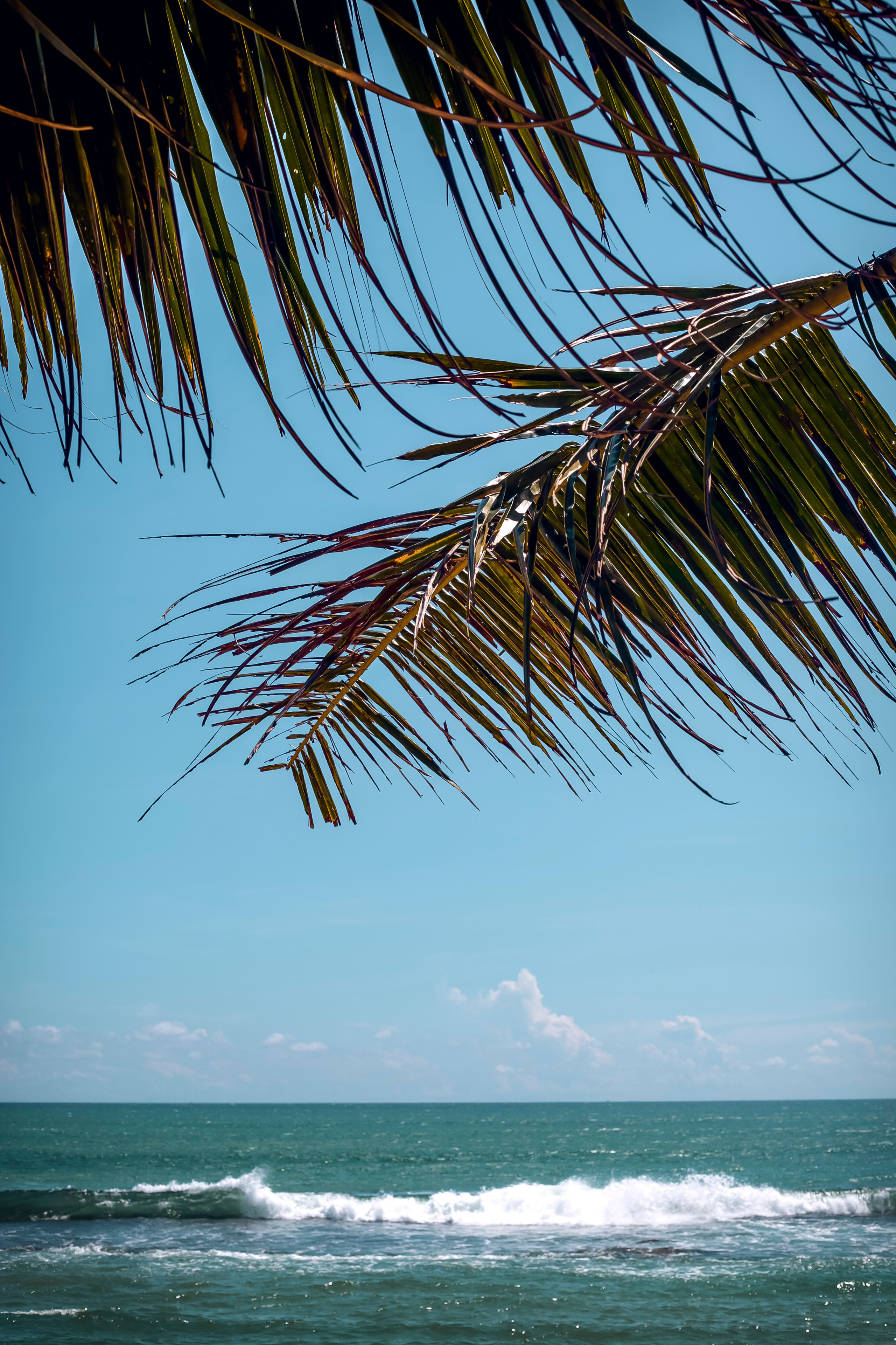 Sri Lanka. Art Photographer