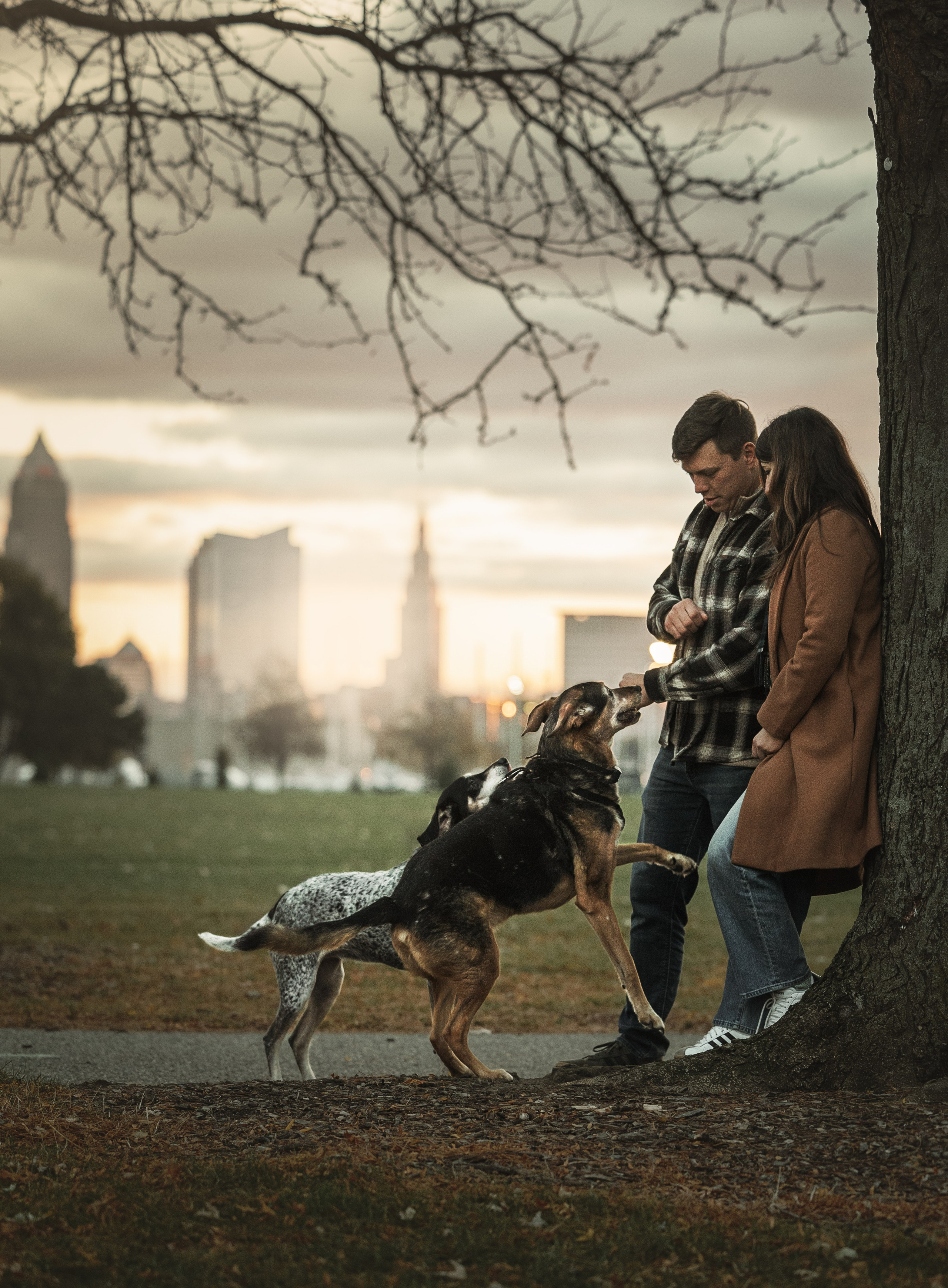 Racer & Delly. Pet Photographer Viktoriya Aleshenko