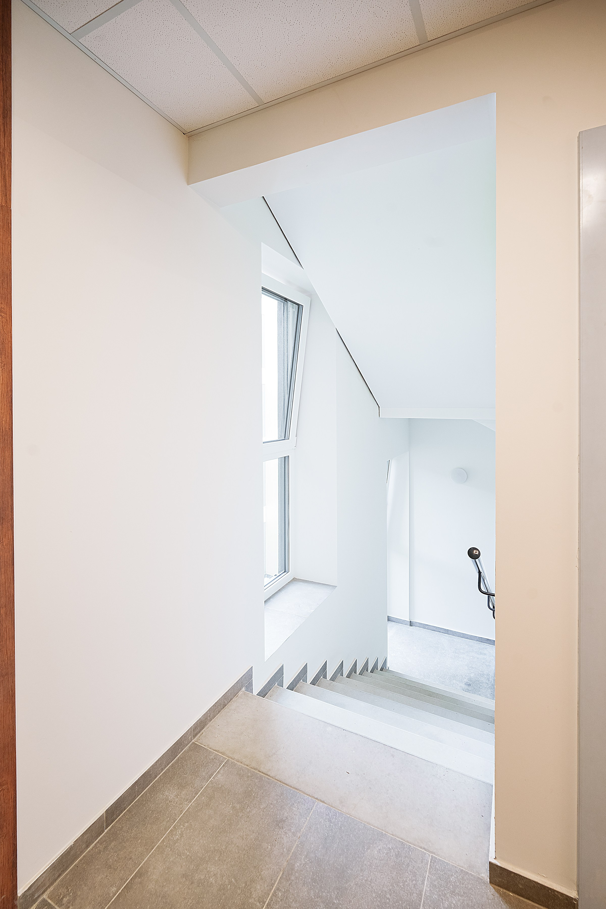 Bajorių kelias g. 29 (20). Elina Sapiega fotografė Vilniuje