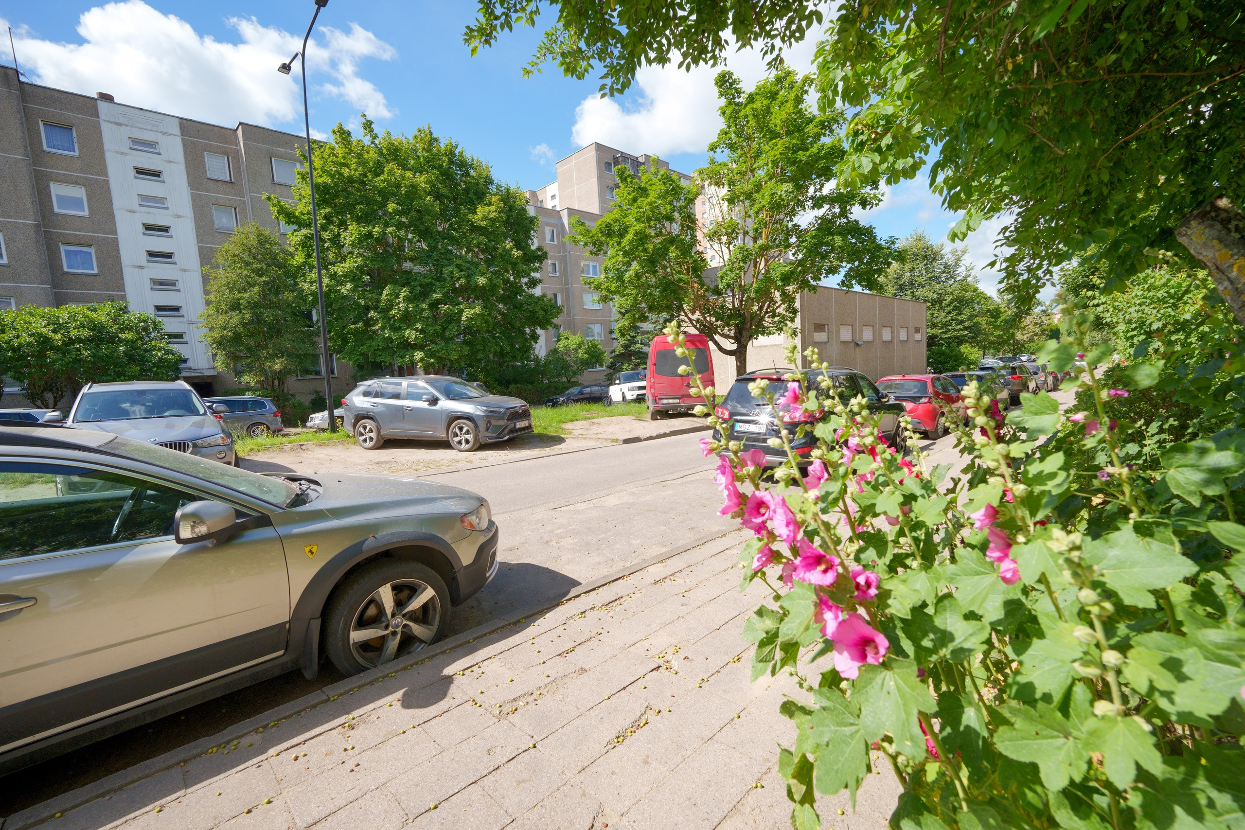 Fabijoniškių g. 73. Elina Sapiega fotografė Vilniuje