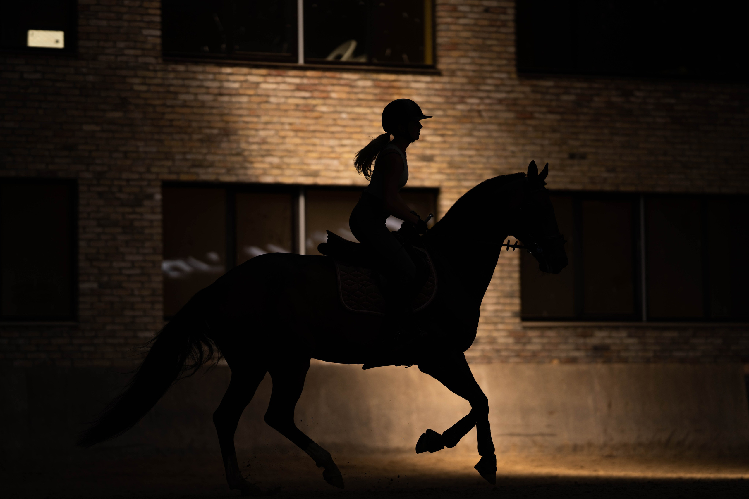 Equestrian sports. Sports and portrait photographer in Riga