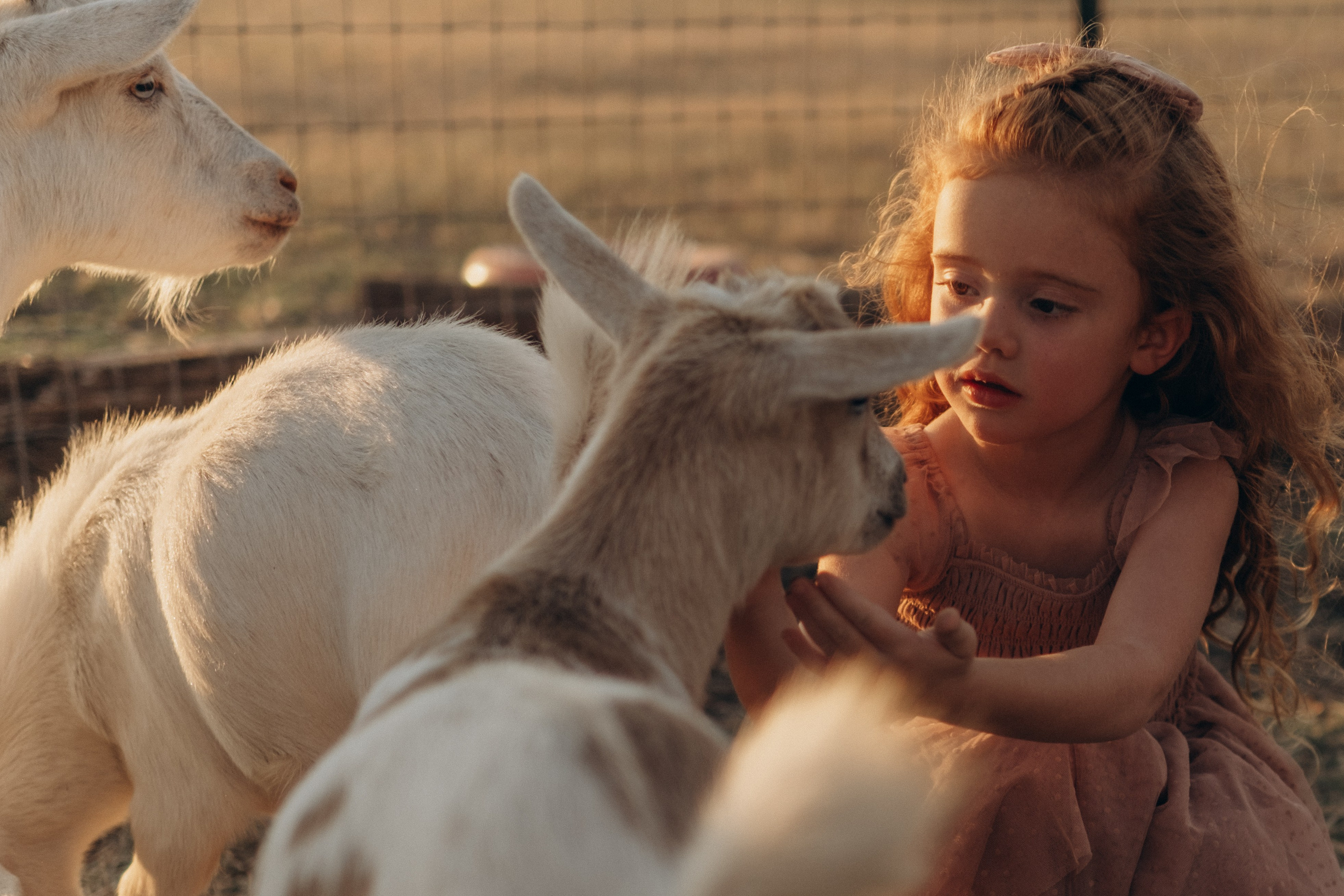 Little Princess. Lens Captures Life