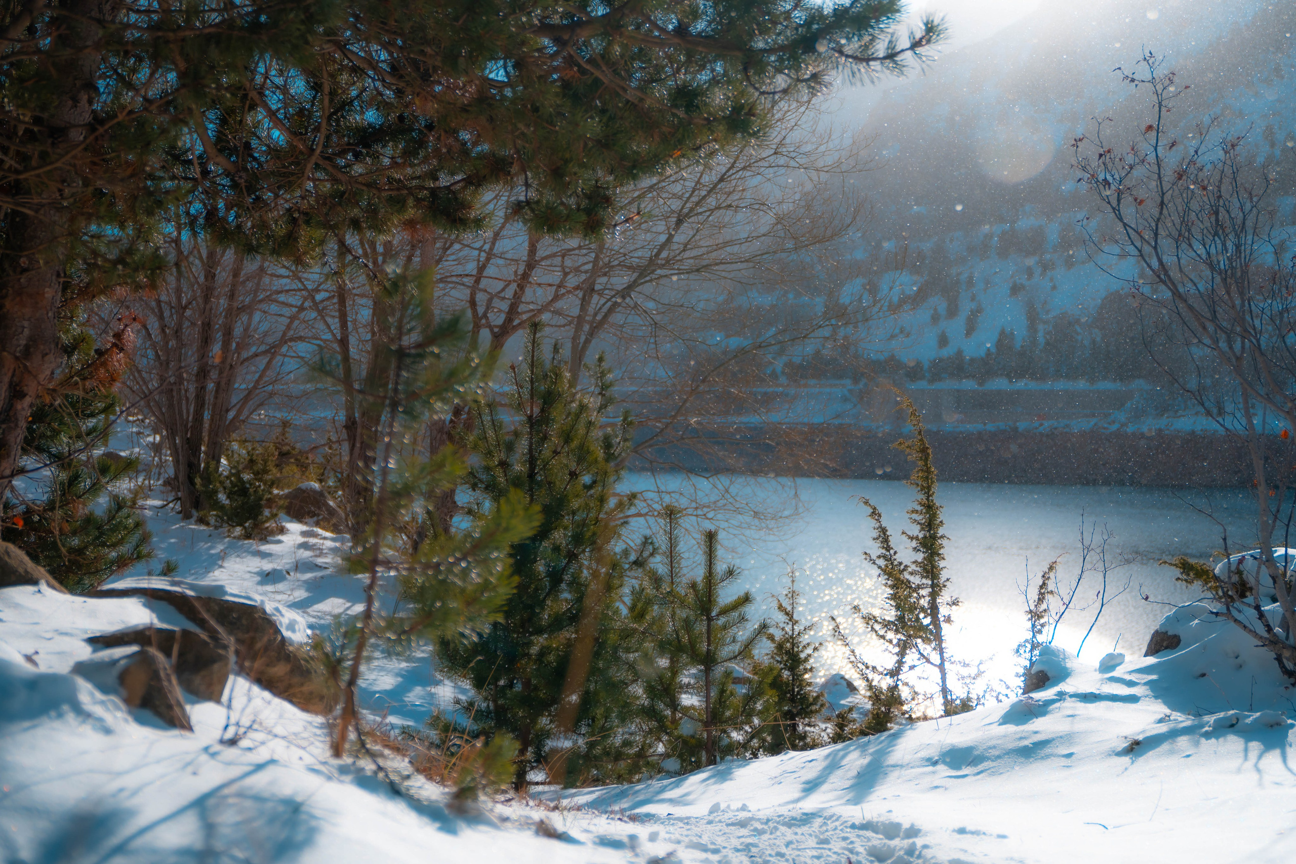 Vall Fosca, Invierno 2023. Alba del Norte Studio