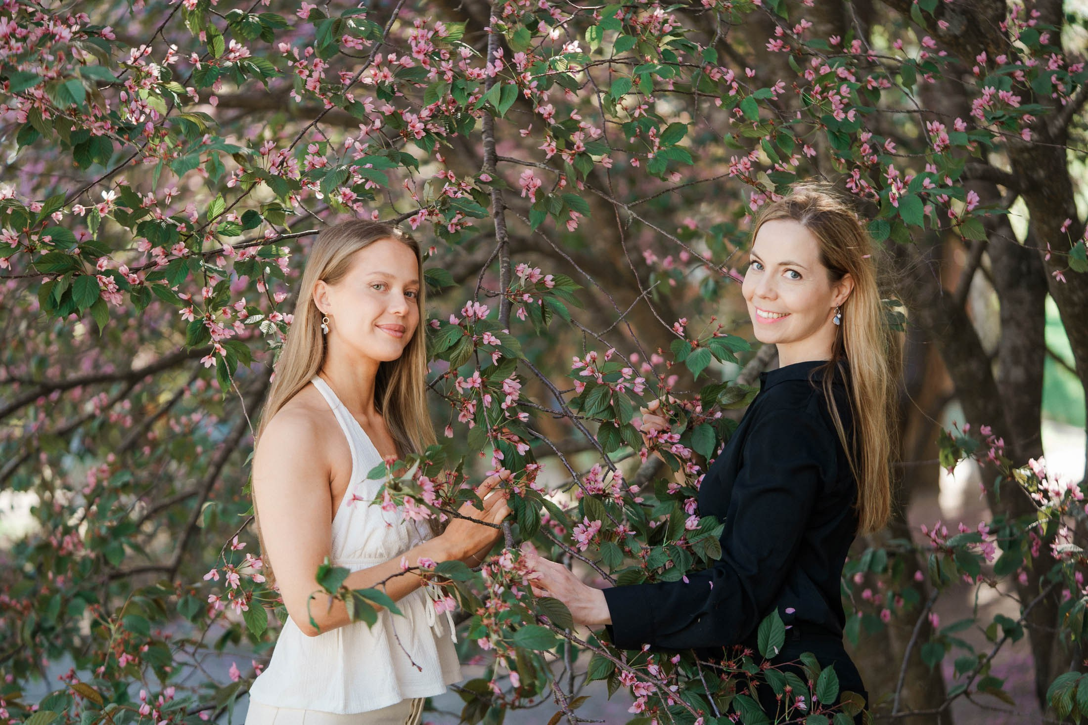 Sanninco - korukuvaukset