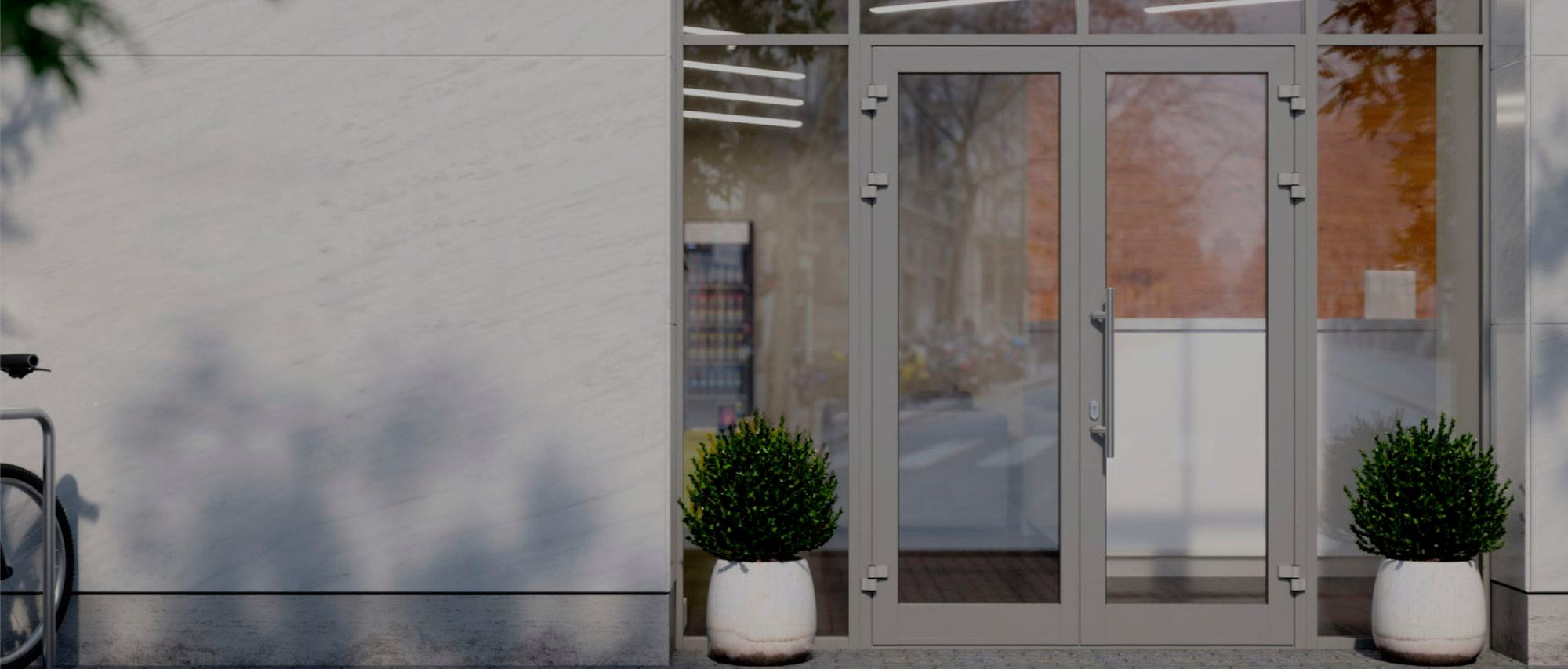 Входная группа из алюминия, окрашенная по палитре RAL.