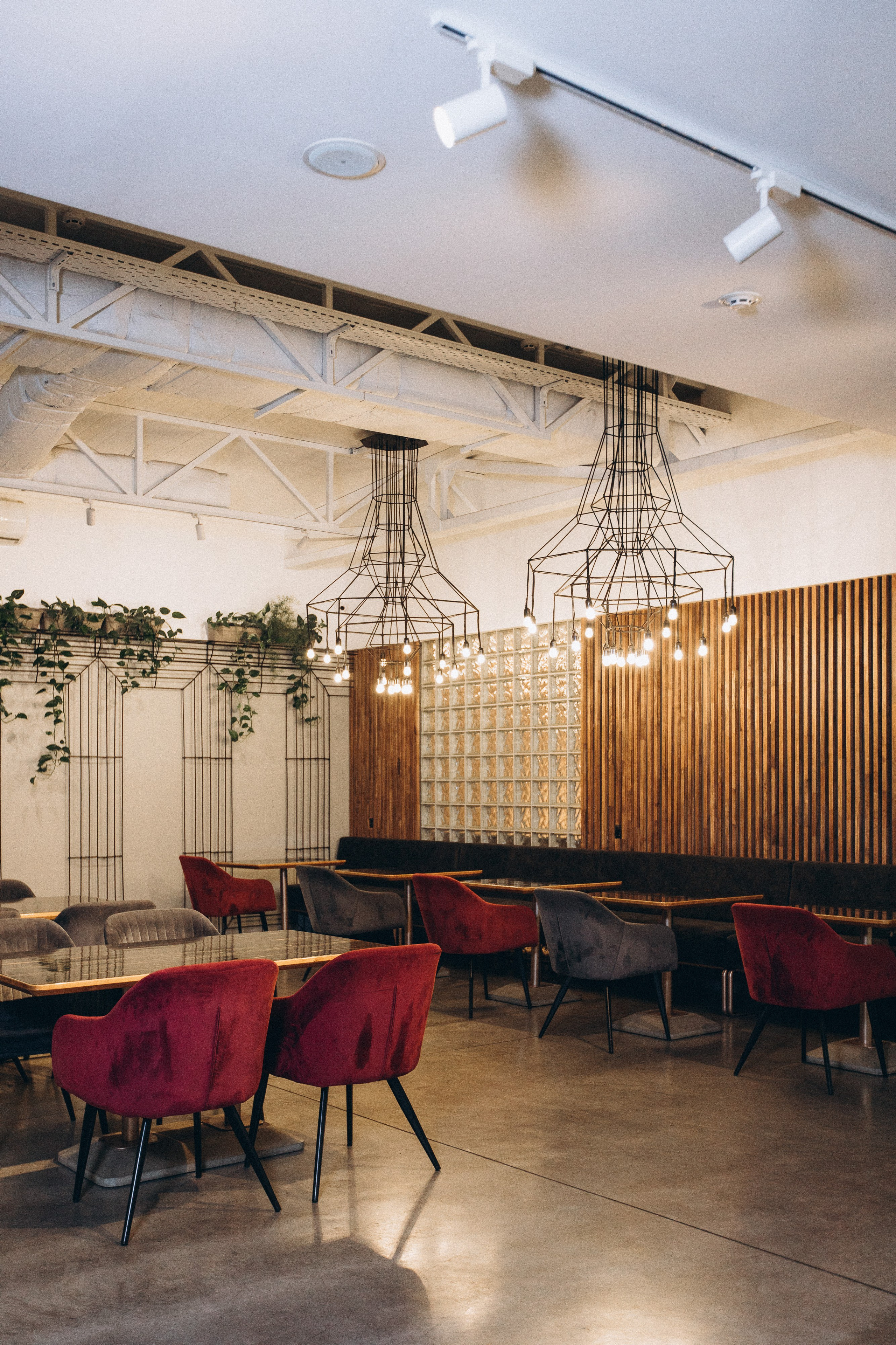 Мережа ресторанів Classic. Ірина Терещук