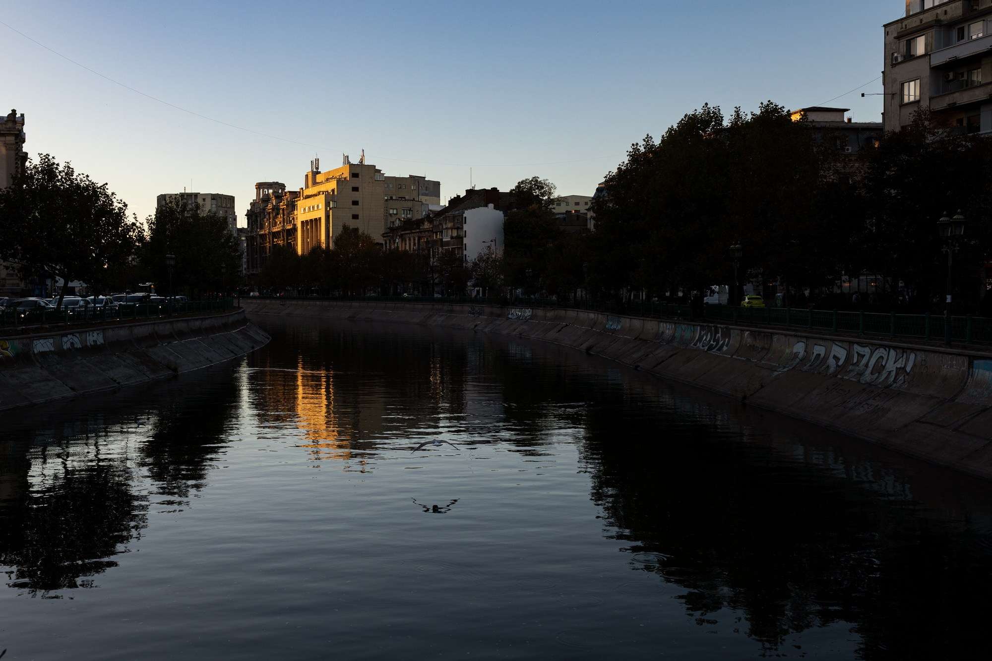 The Grid. A Creative Insight | Catalin Nastase