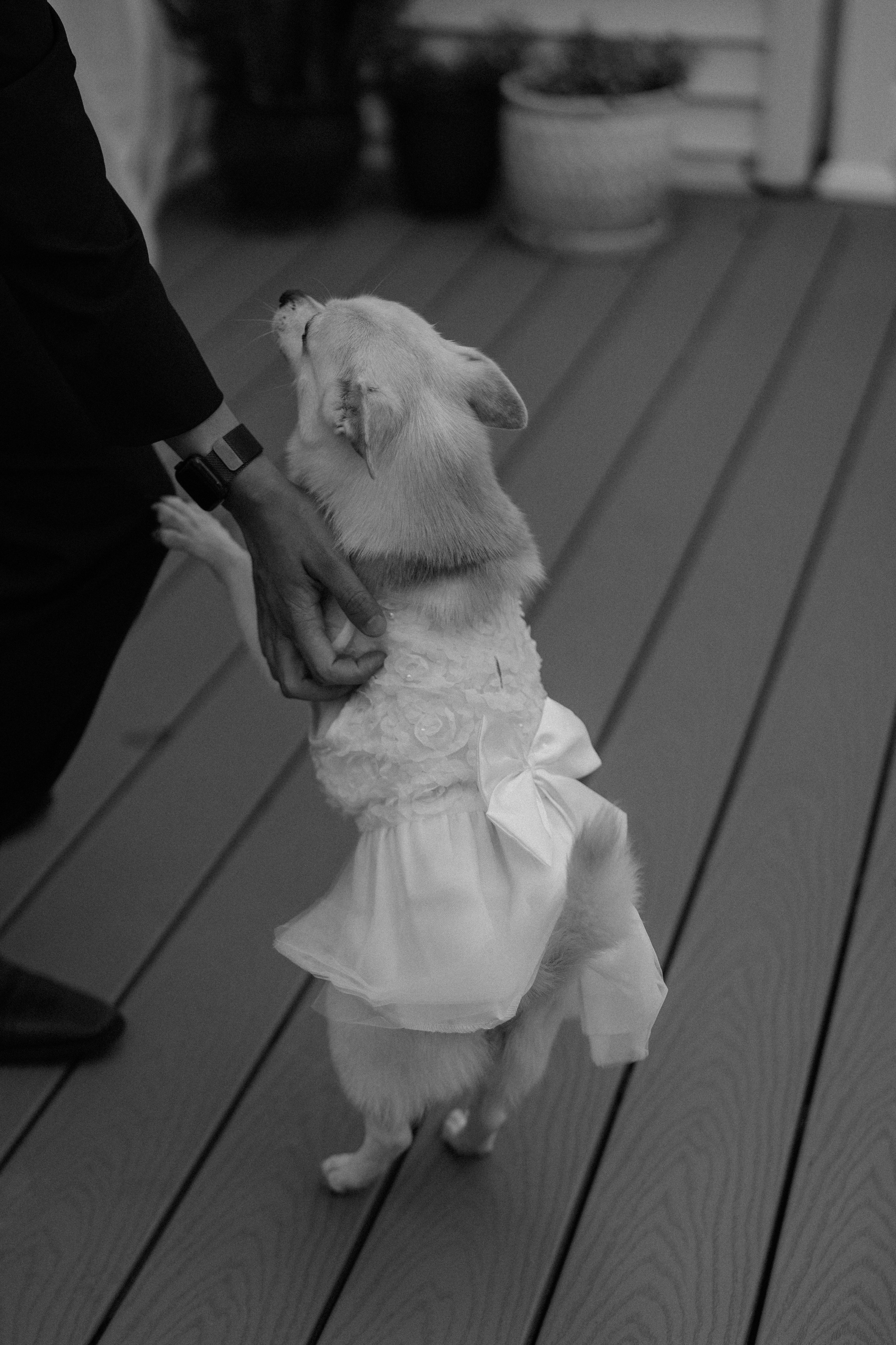 Bernice & Eric. Anna Krasnova Wedding photographer