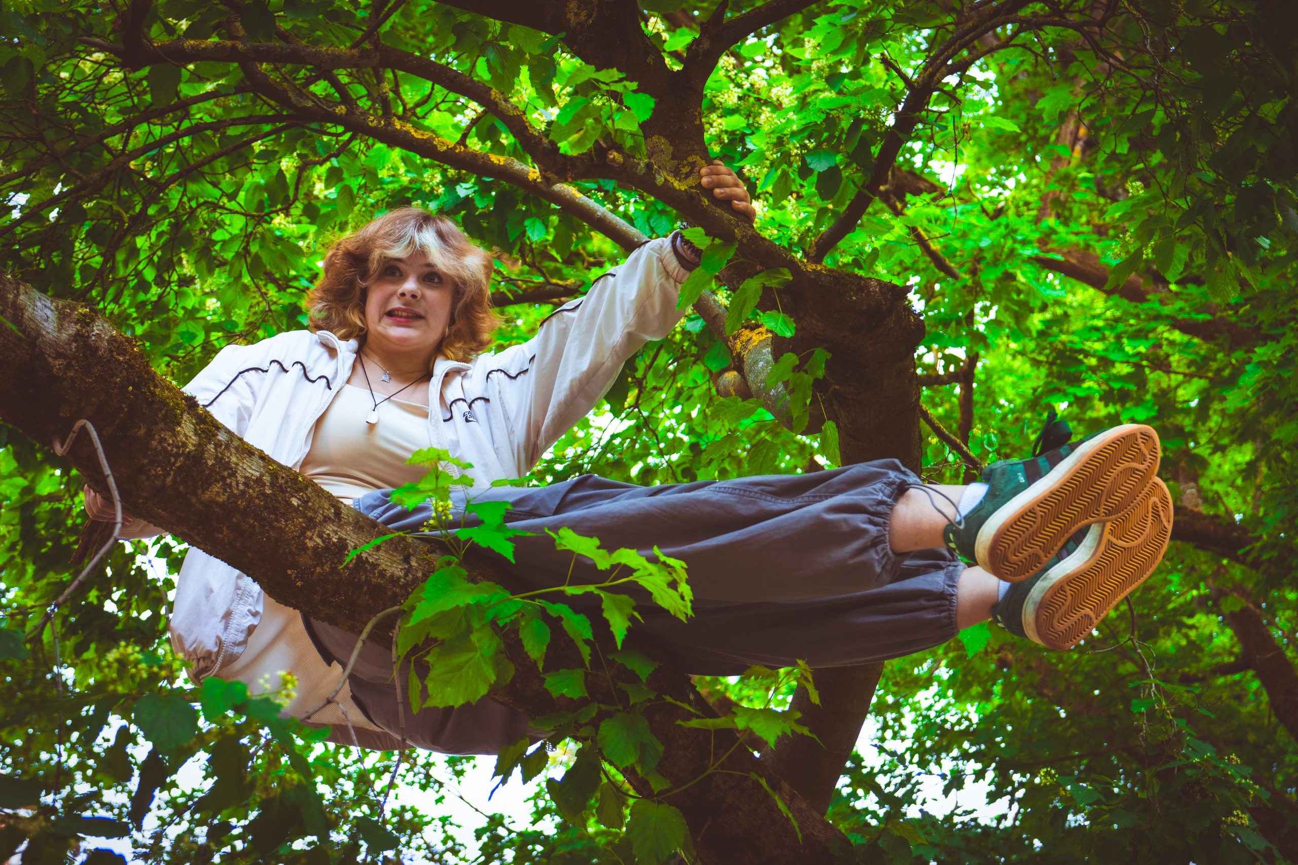 Lahe graatsia (Sonja). Nebula 25 — Fotod teie hingele