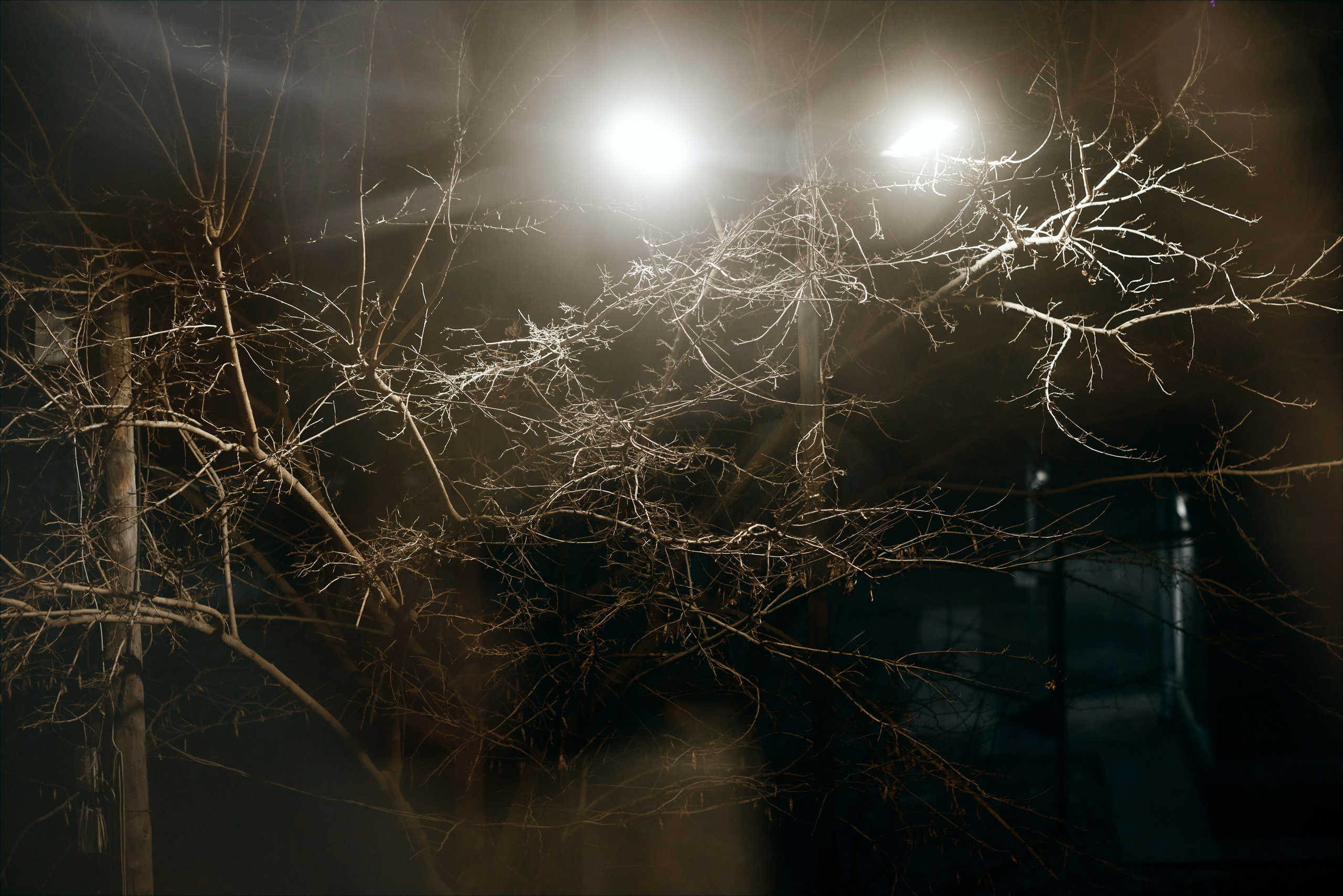 И я люблю тебя…. Валерия Вартанова. Фотограф