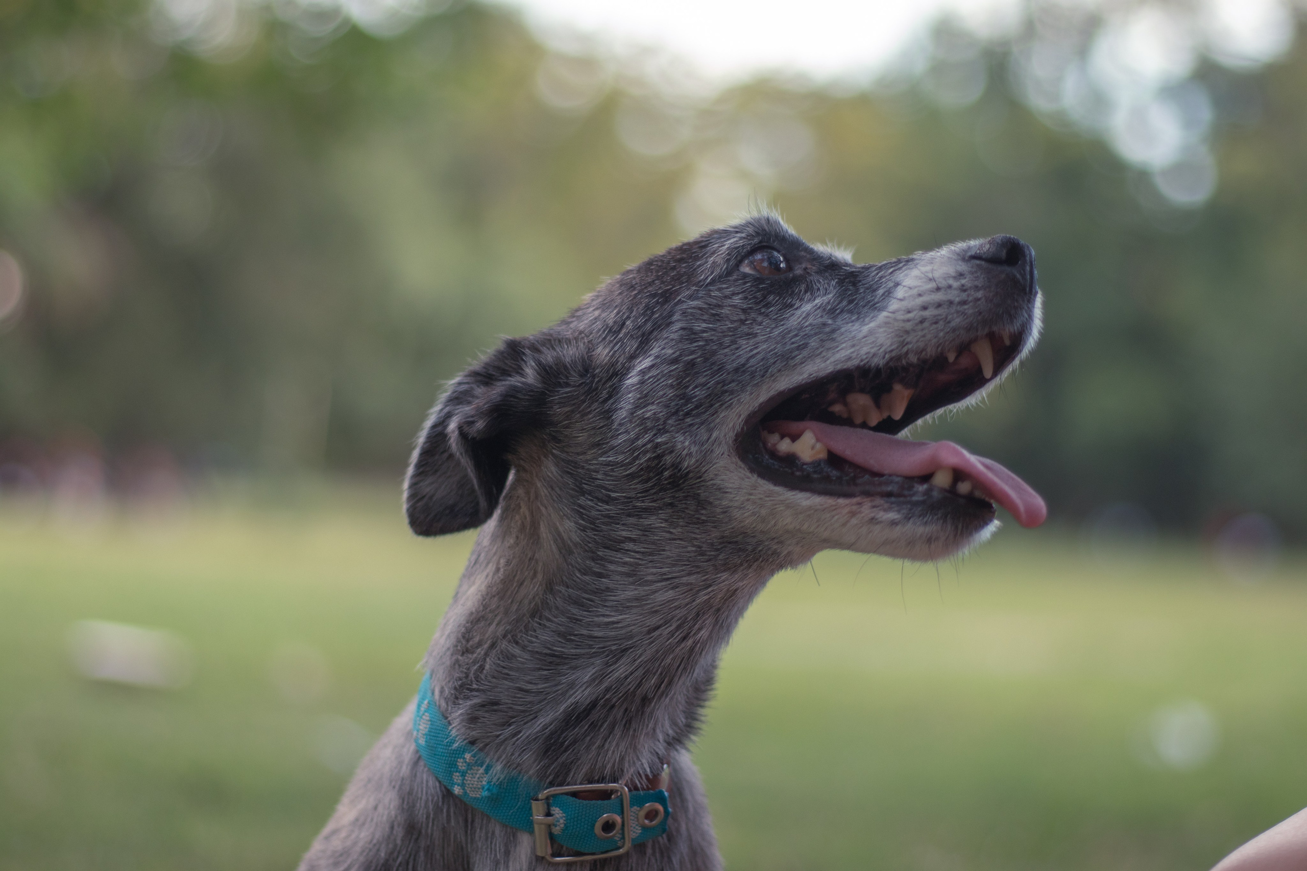 Maya & Pablo. Fotógrafo en Mendoza Alexander Safonov