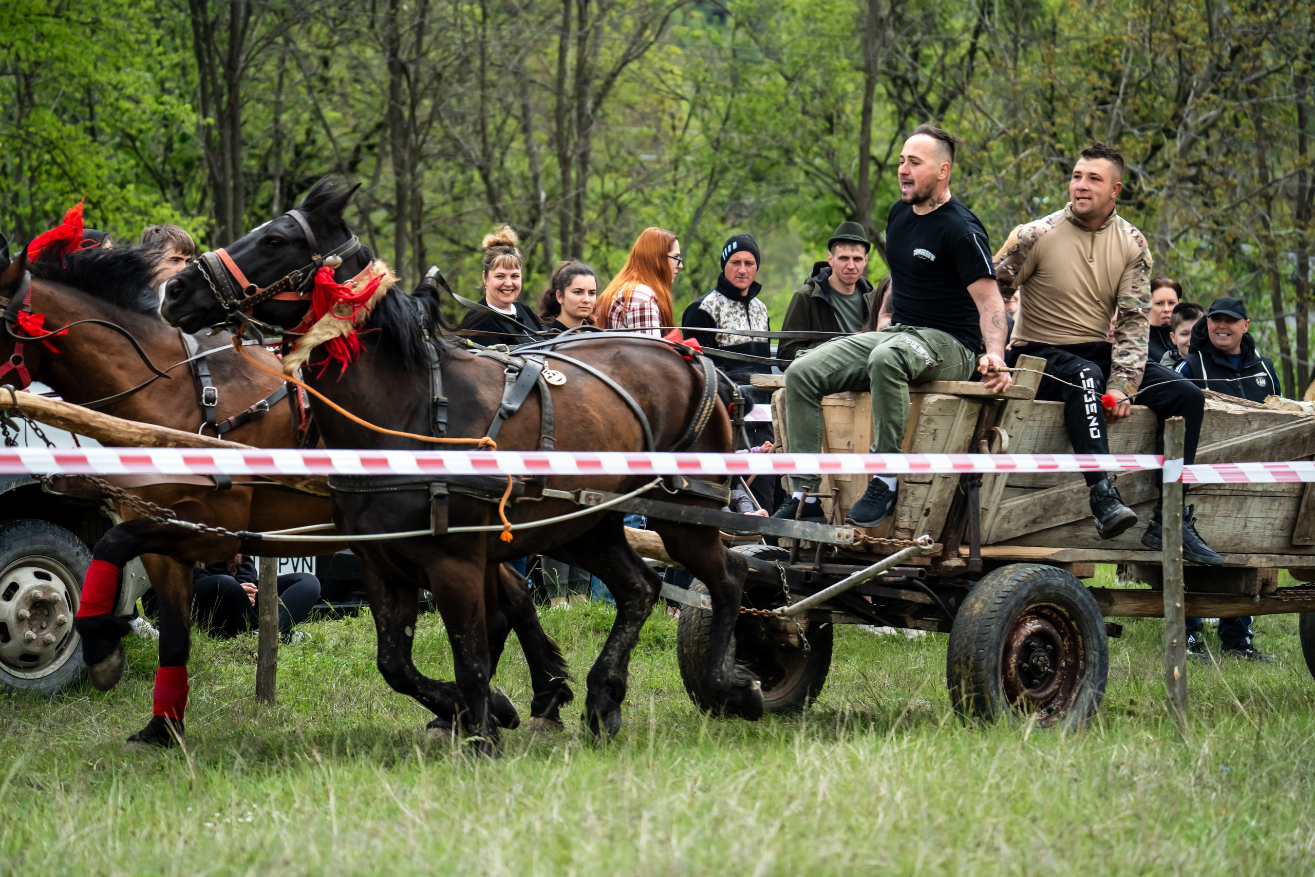 Concurs Ecvestru Vărbilău ediția a 4-a. Mihai Alexandra Events