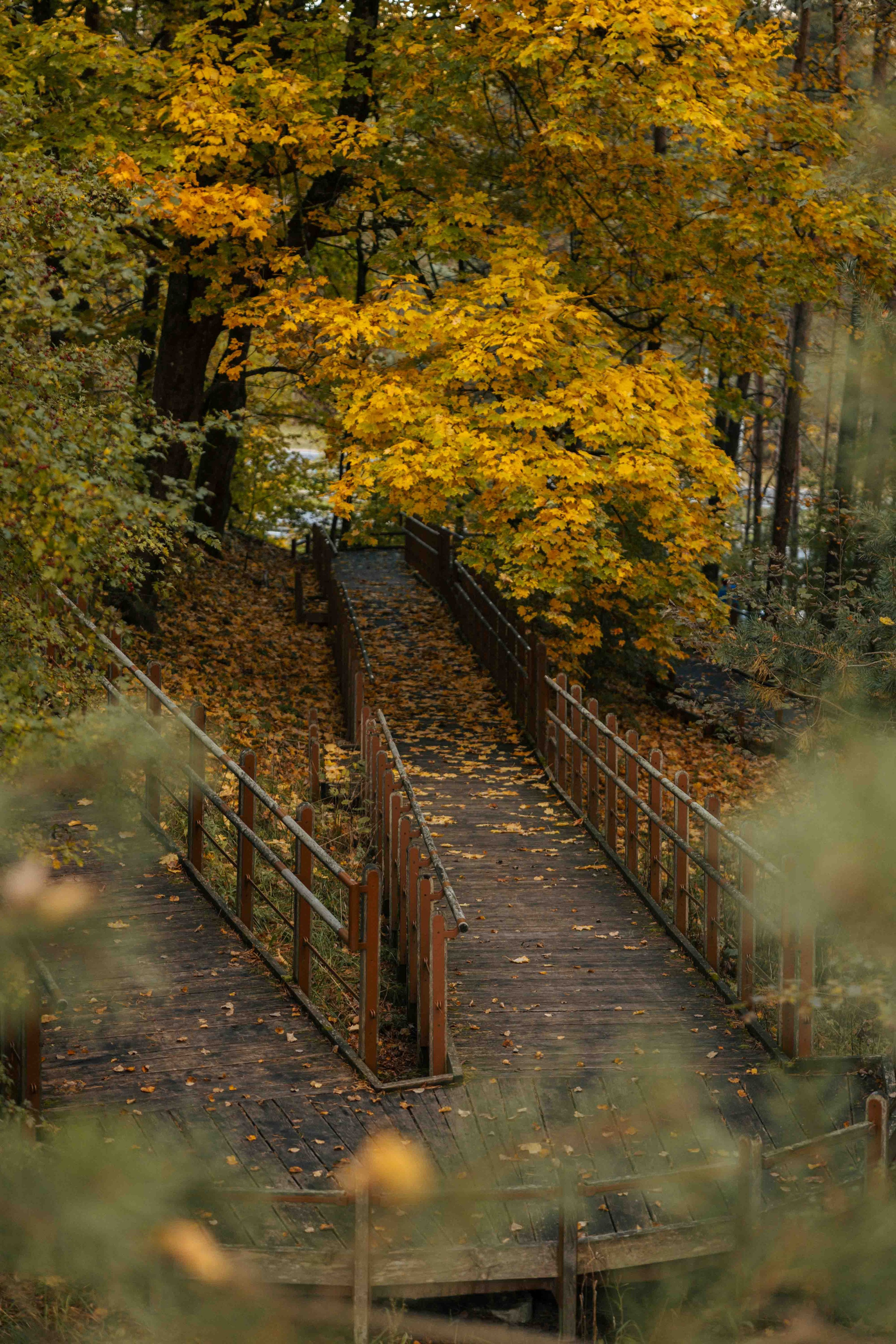 Best Autumn Photoshoot Locations in Vilnius: Top Spots to Capture the Fall Colors. Framed by Evelina | Destination Wedding Photographer from Lithuania | Europe