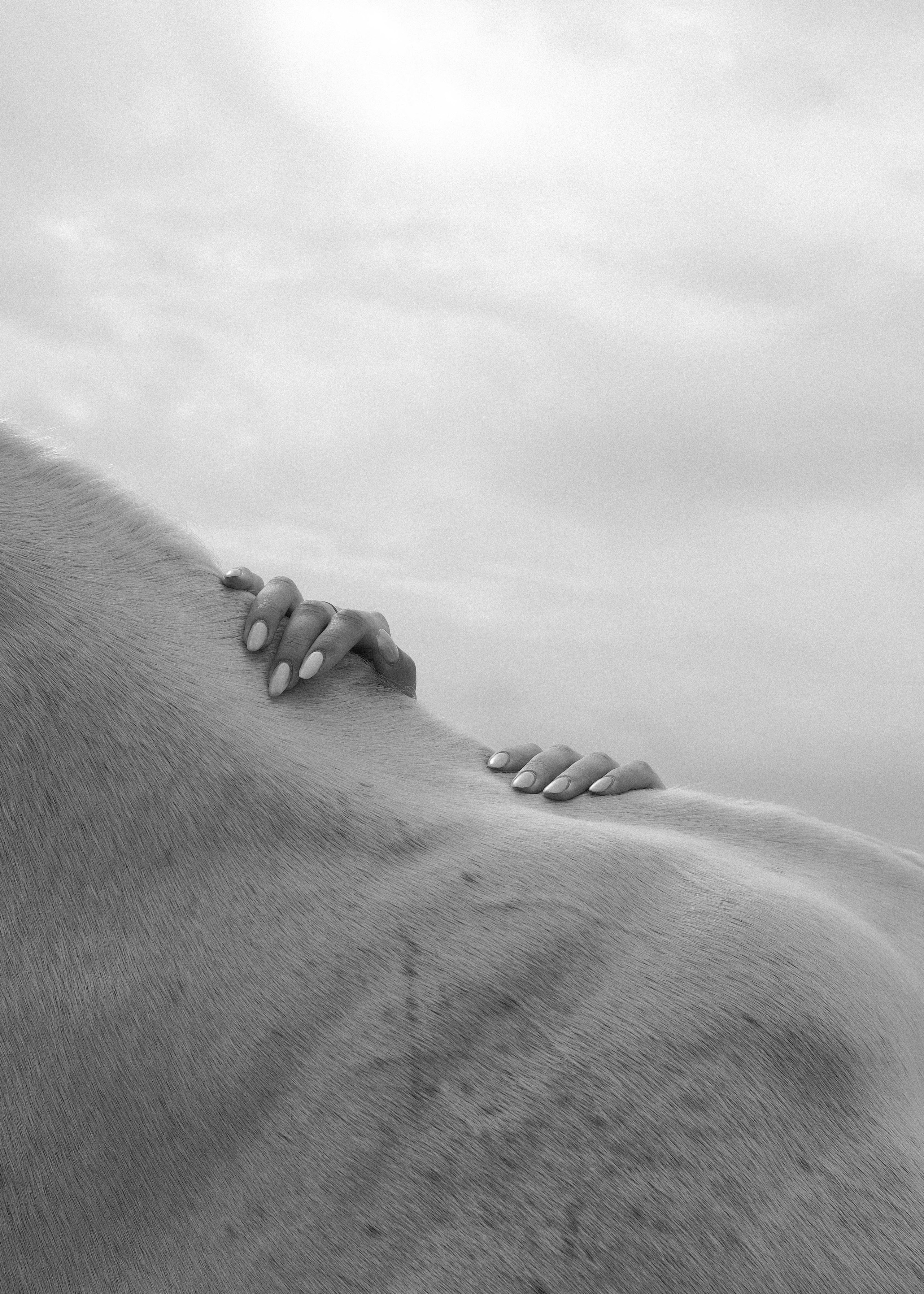 Полина Городецкая. Julia Semenchuk photographer