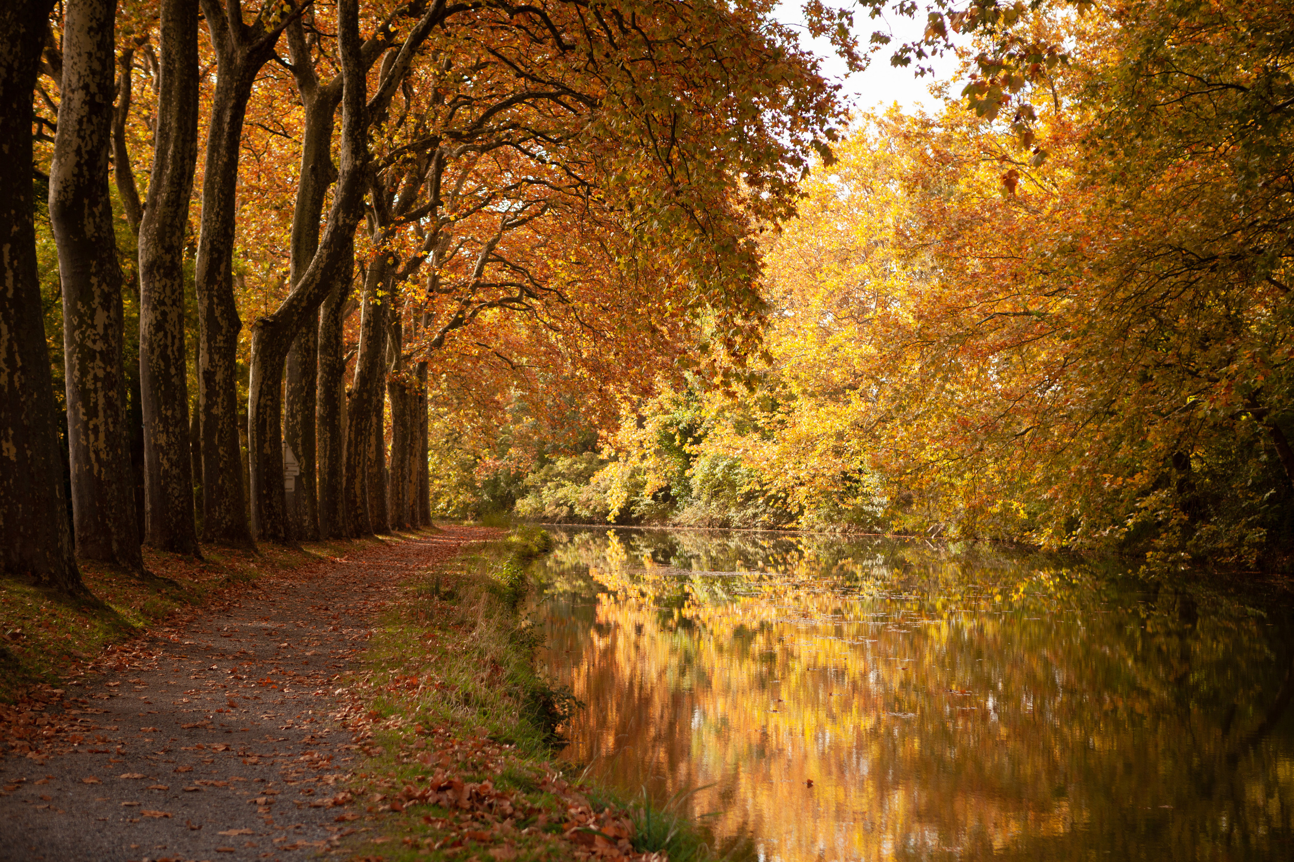 Family session at Toulouse by Canal du Midi. Евгения Смирнова — Ваш фотограф в Тулузе и на юго-западе Франции