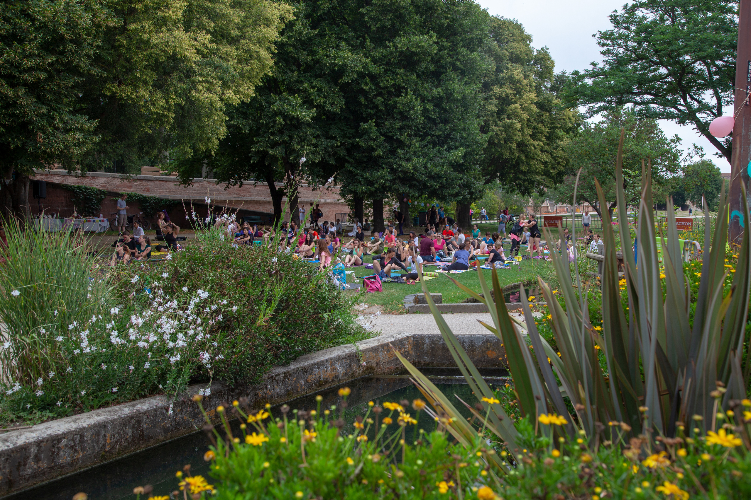 Event photographer Toulouse. Eugénie Smirnova — your photographer in Toulouse and southwest France